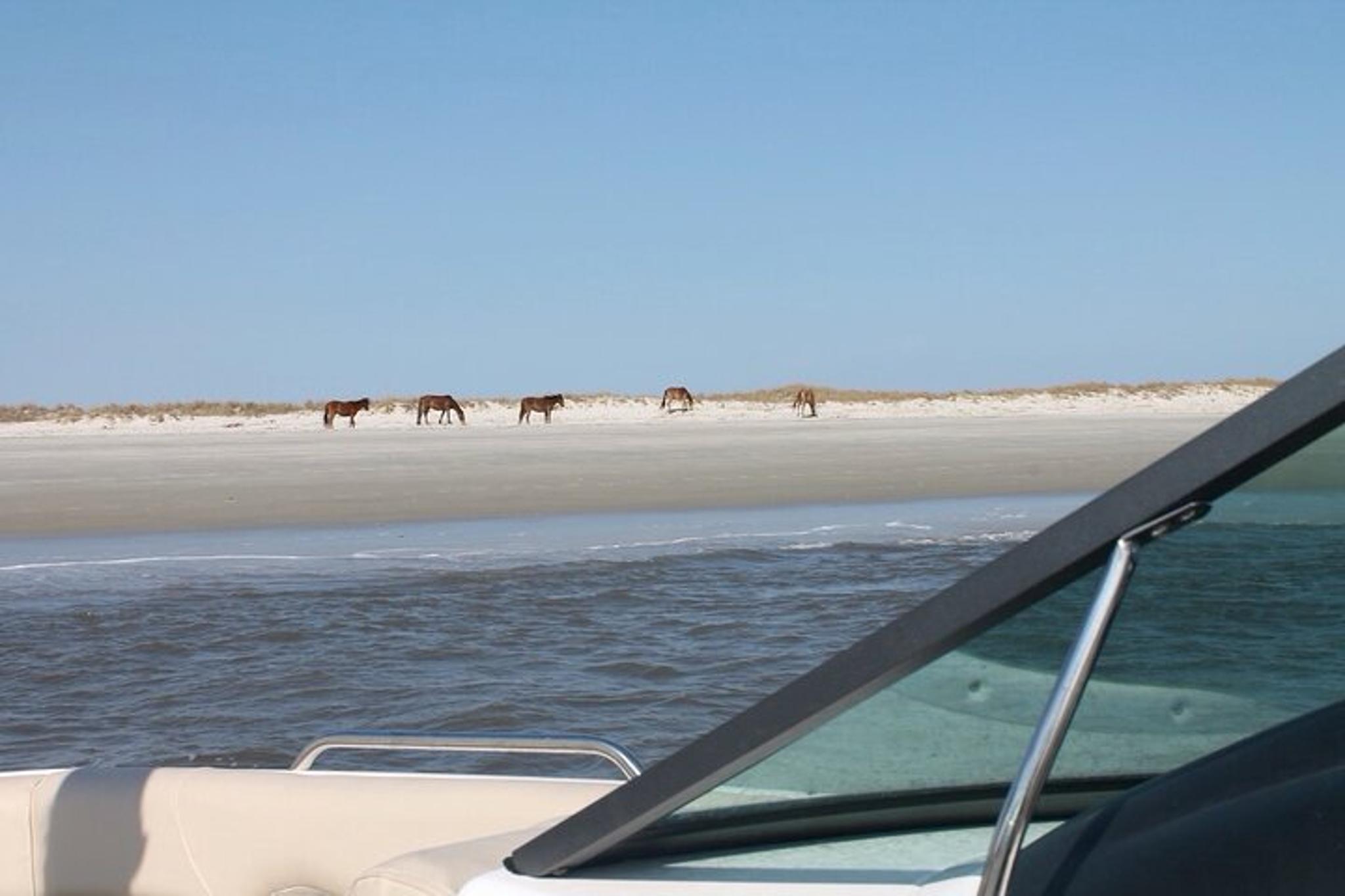 Fernandina Beach Boat Tour for Up to 6 Passengers 2 hr