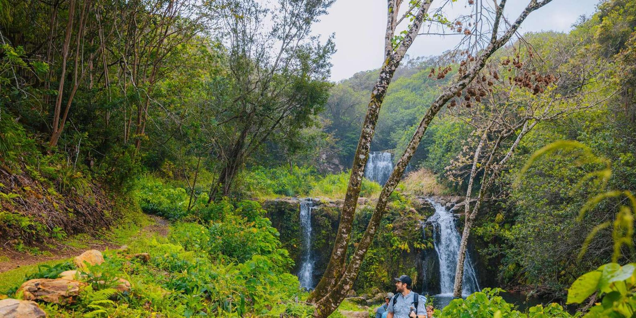 Kohala Waterfalls Adventure Tour - Image 6