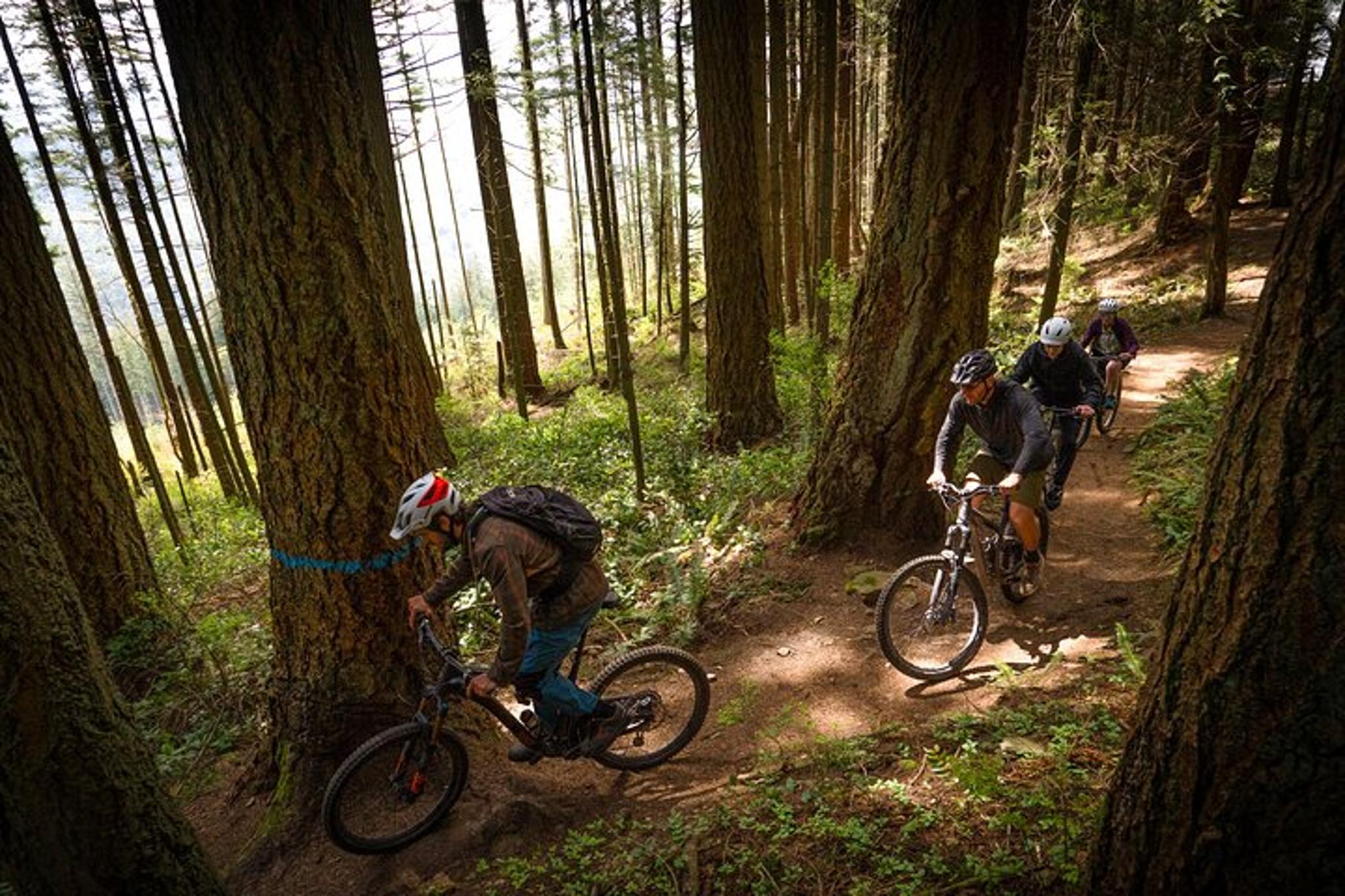 Bellingham Mountain Bike Tour Half-Day