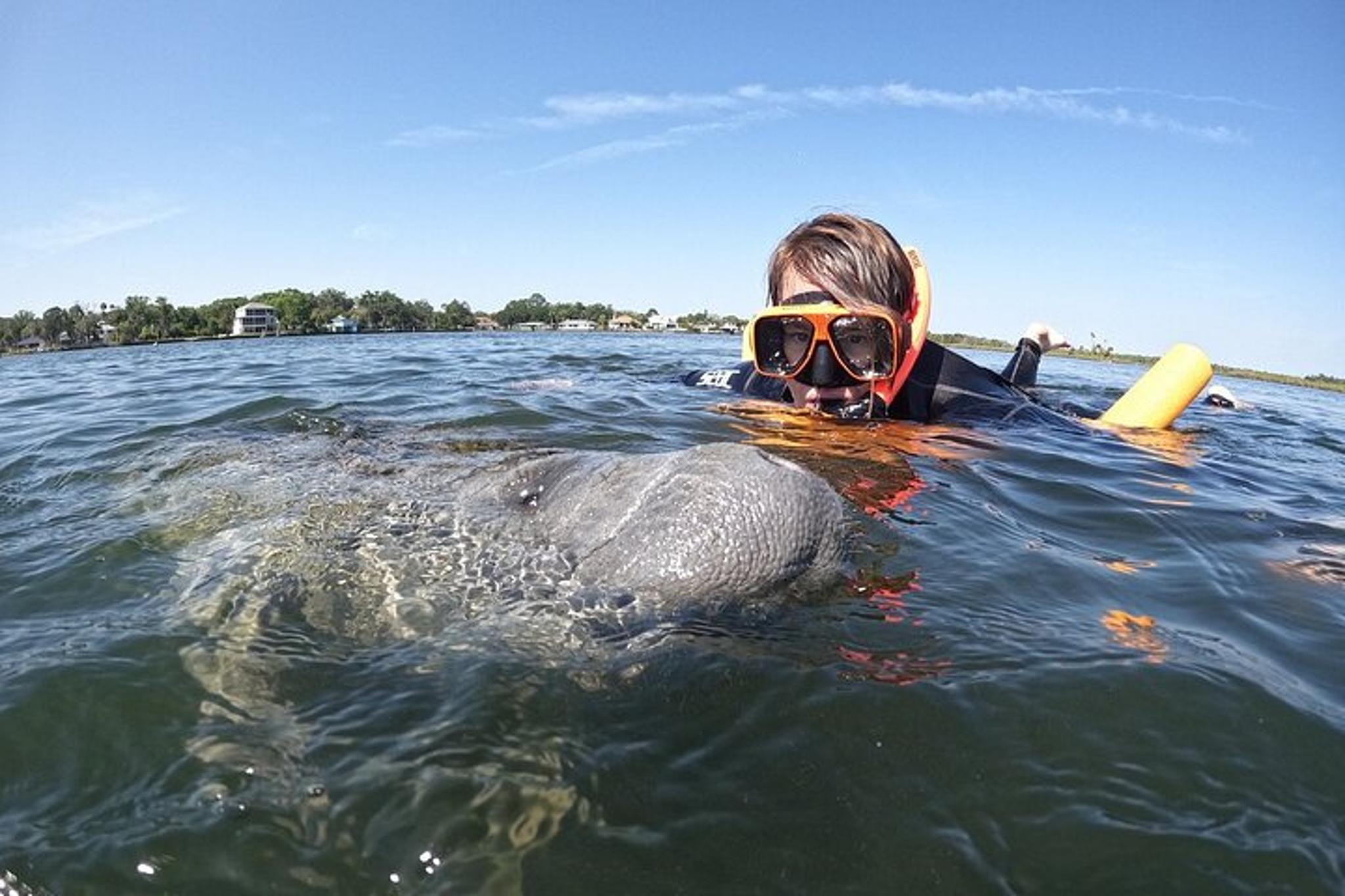 Crystal River Manatee Swim Tour with Photos - Image 6