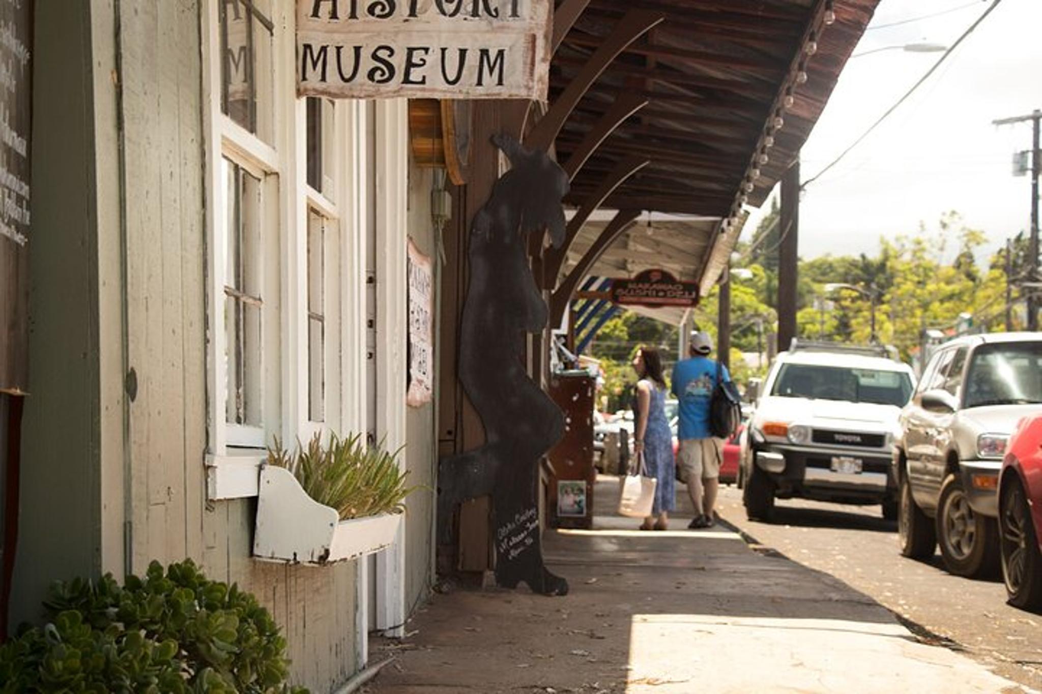Maui Zipline Tour for Pride Of America Passengers - Image 4