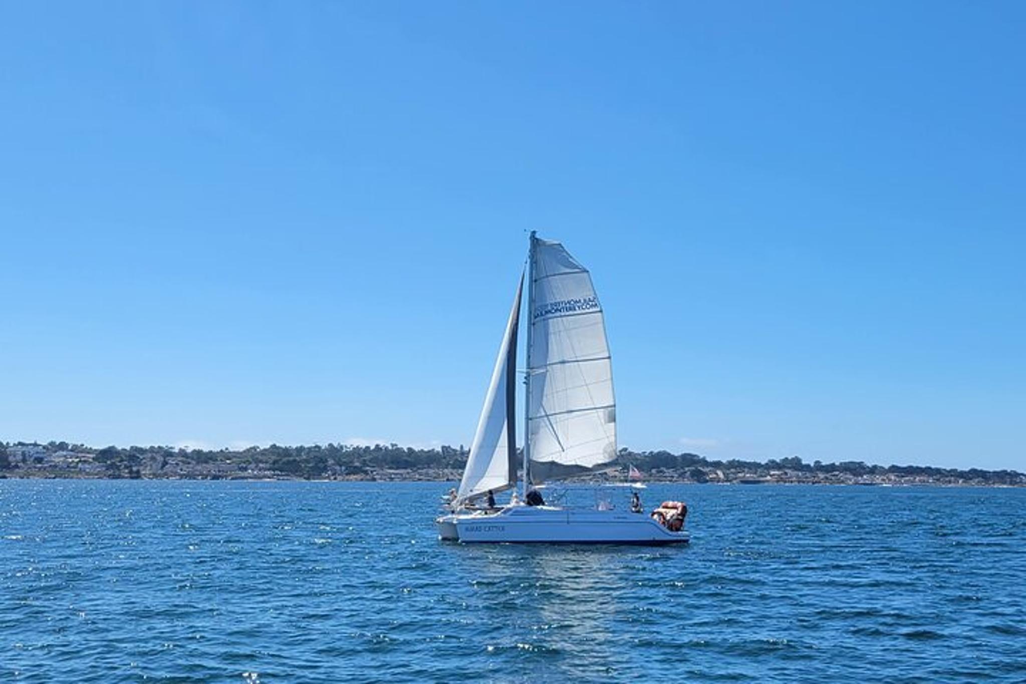 Monterey Catamaran Sailing Cruise