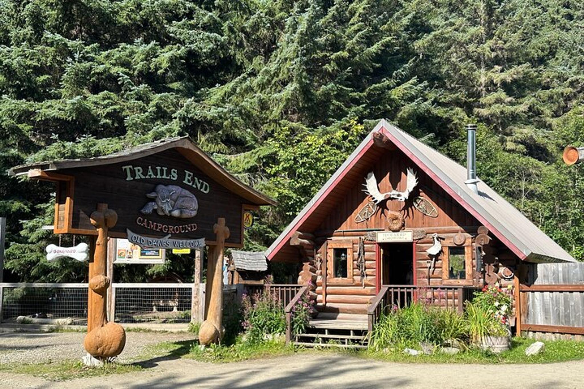 Skagway Sled Dog Adventure - Image 2