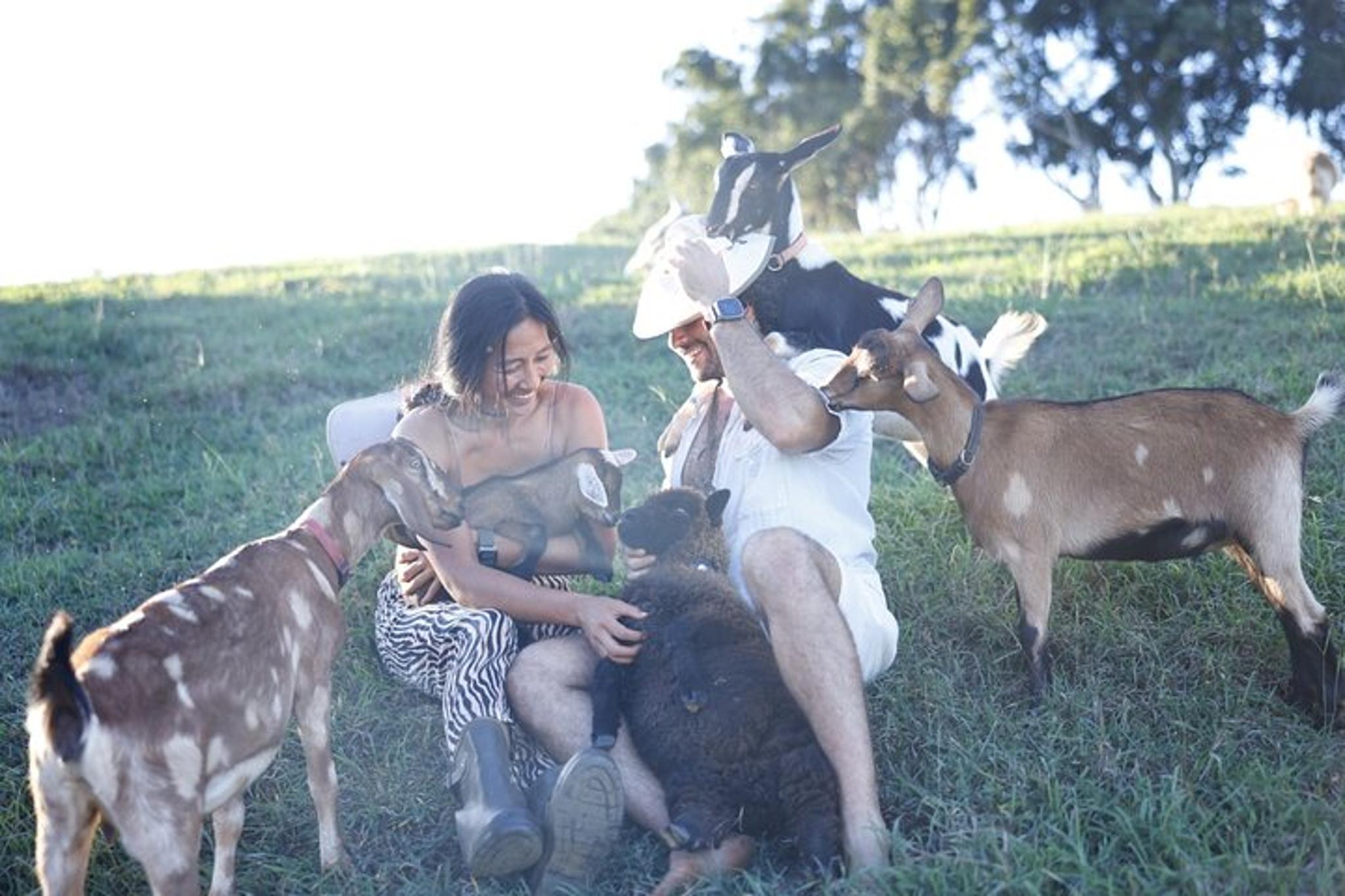 Kauai Baby Farm Animal Experience - Image 6