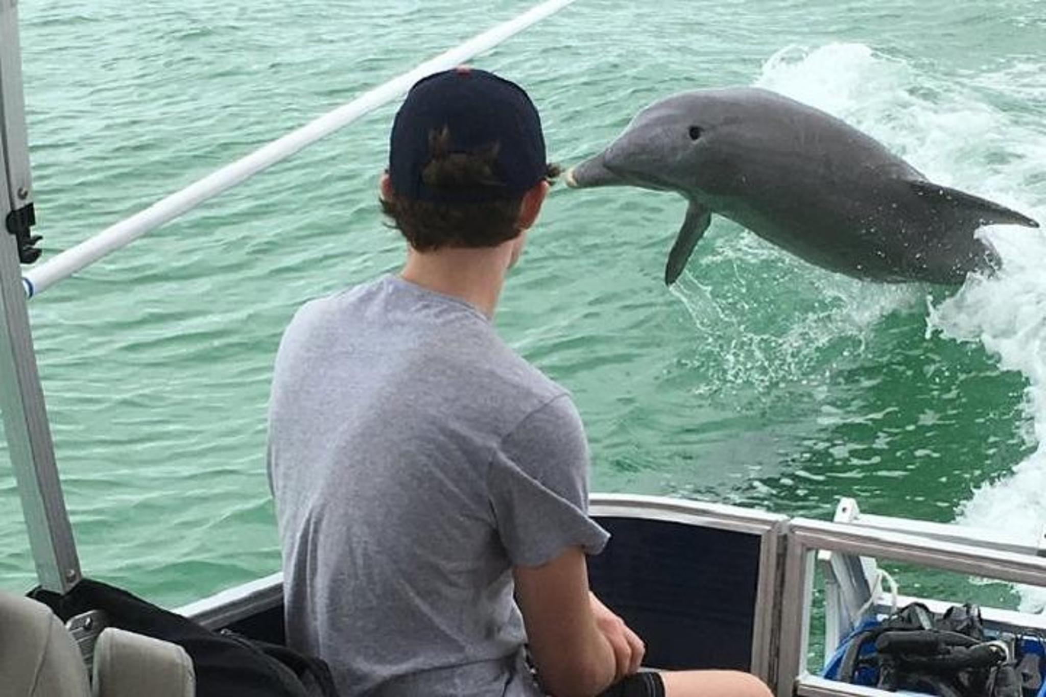 Tierra Verde Dolphin Cruise and Snorkeling to Shell Key 2 hr - Image 2
