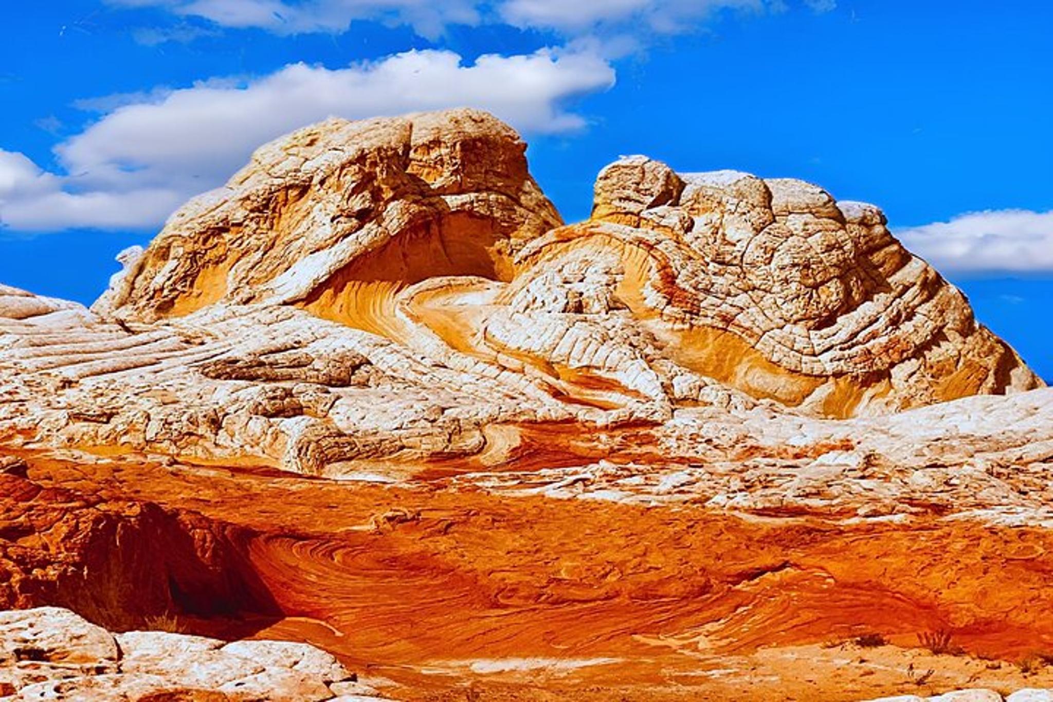 White Pocket Off-Road & Hiking Adventure