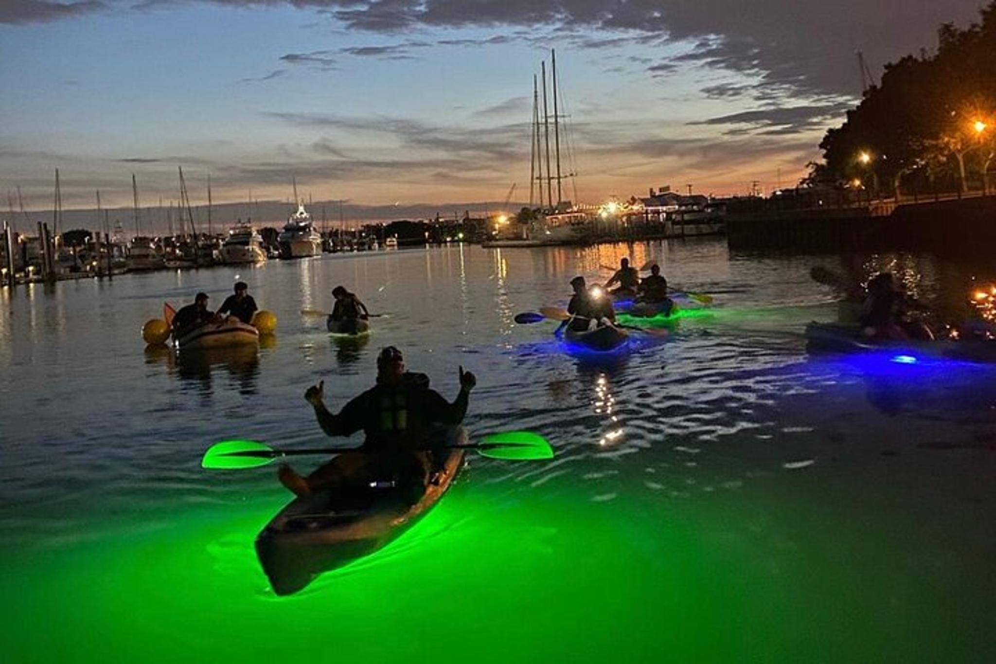 New York City Kayak Adventure 1 hr - Image 3