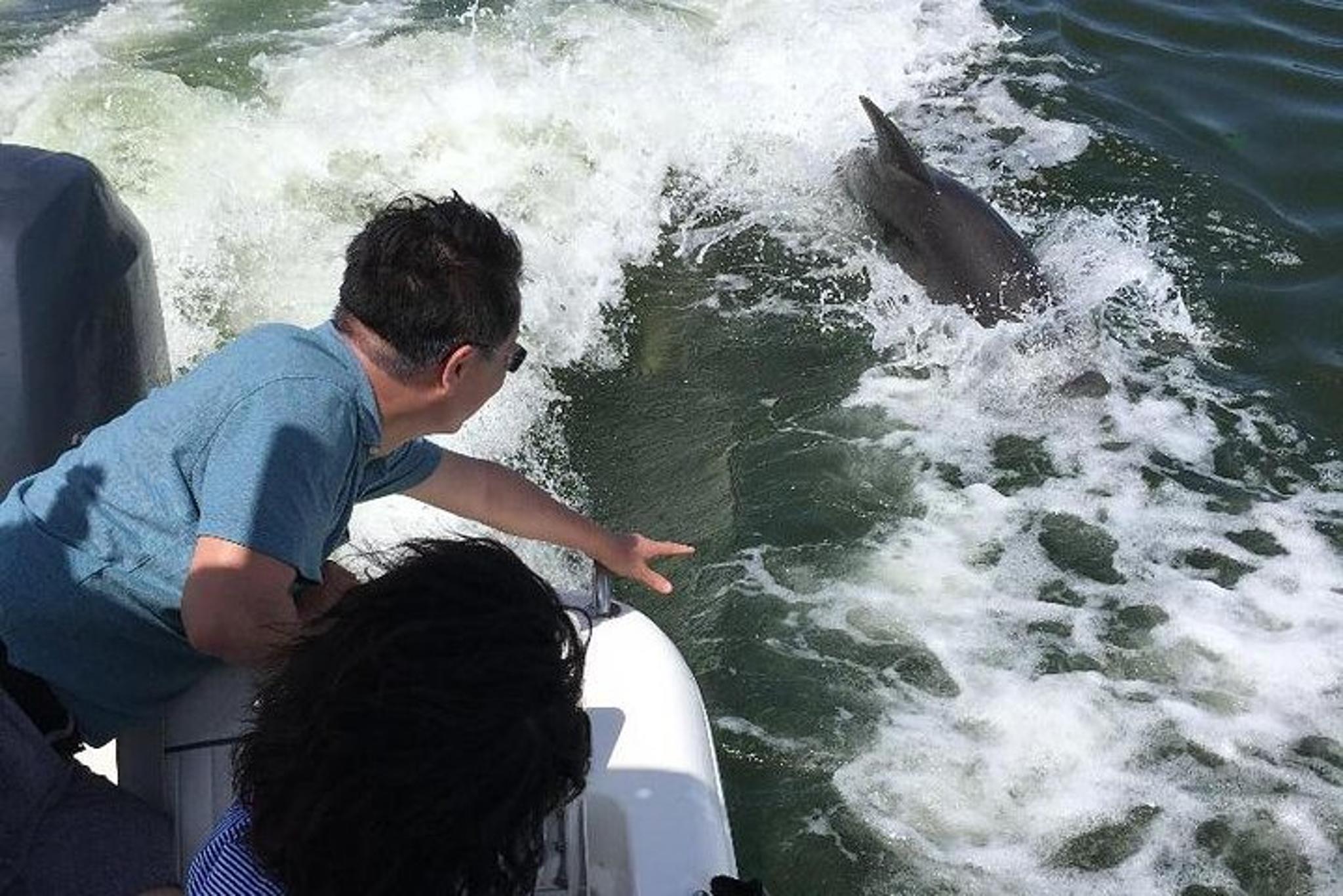 Fort Myers Beach Dolphin Tour - Image 6