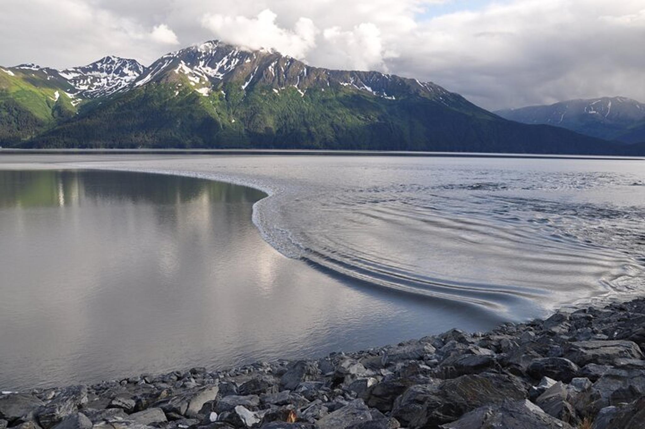 Anchorage Seward Wildlife Adventure 4 hr - Image 2