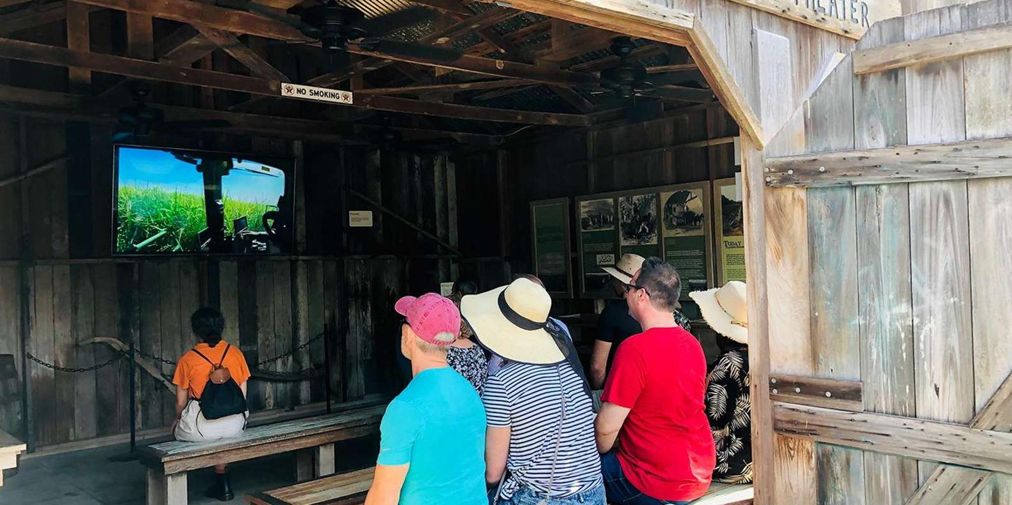 New Orleans Swamp Boat and Oak Alley Plantation Tour - Image 6