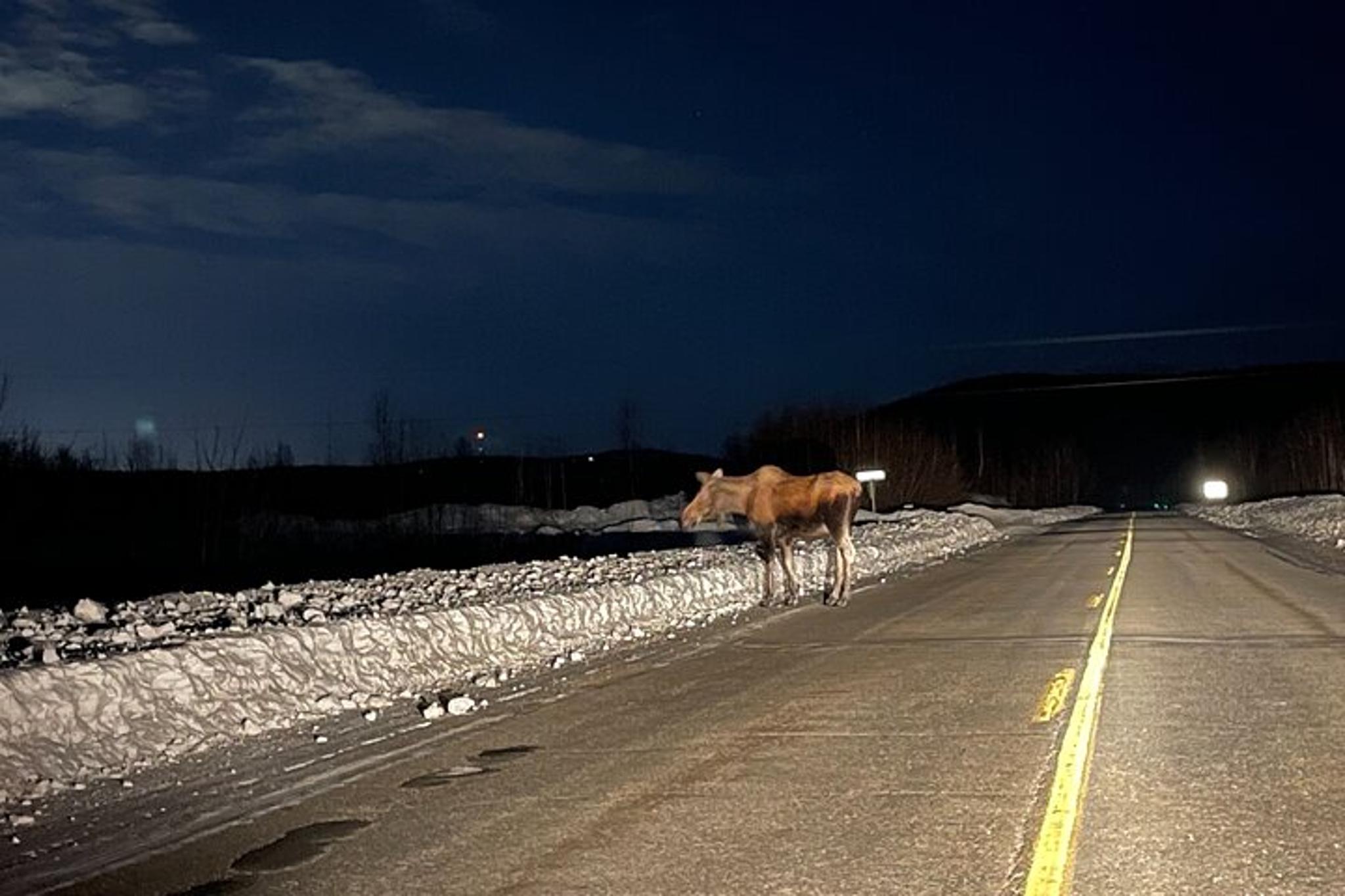 Fairbanks Aurora Adventure - Image 3