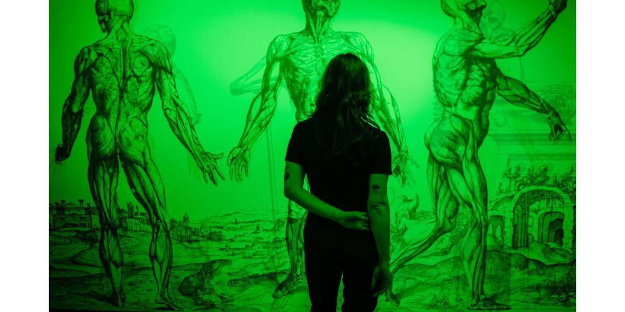 San Antonio Immersive Art Experience - Image 2
