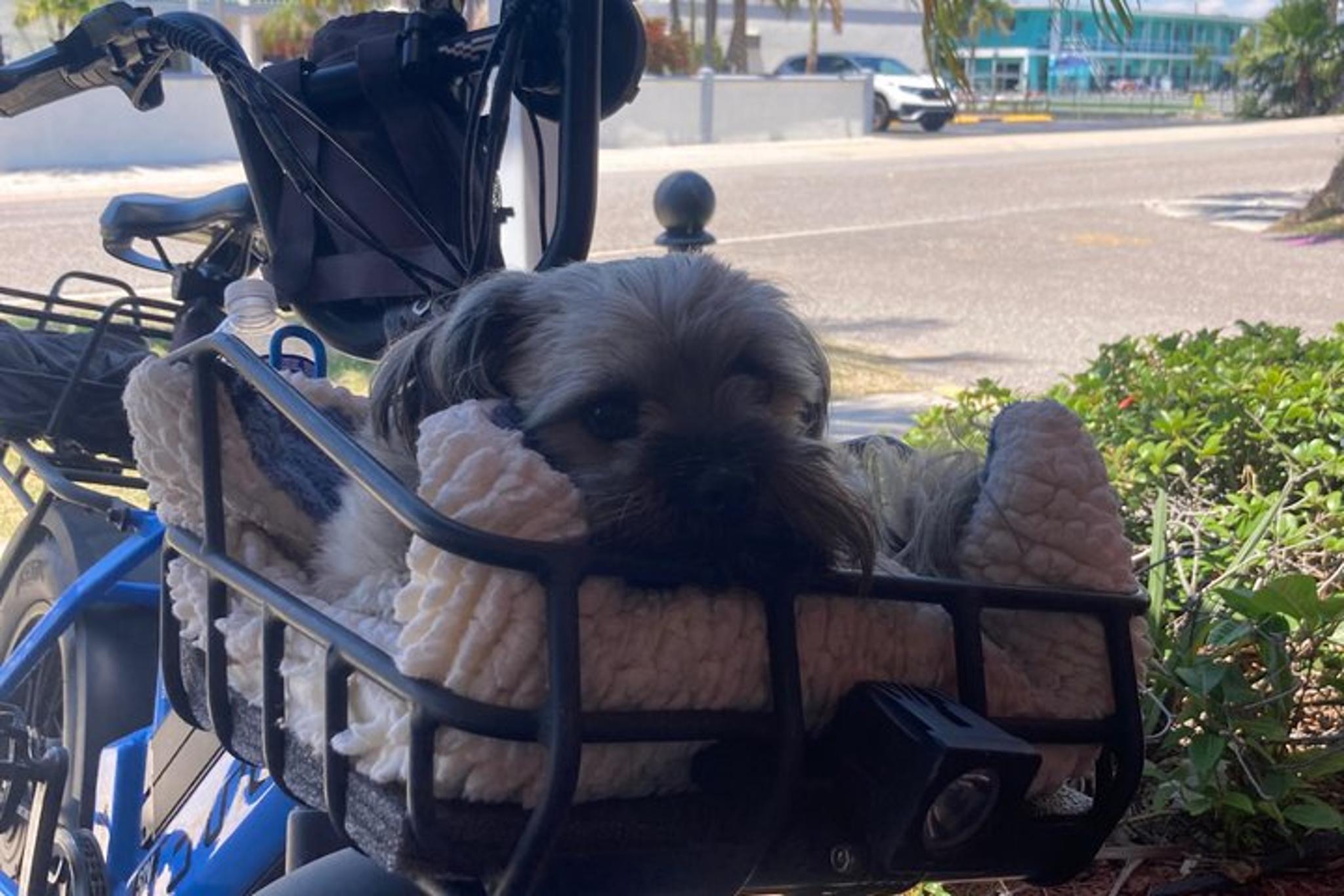 Treasure Island Electric Bike Tour at Sunset - Image 3