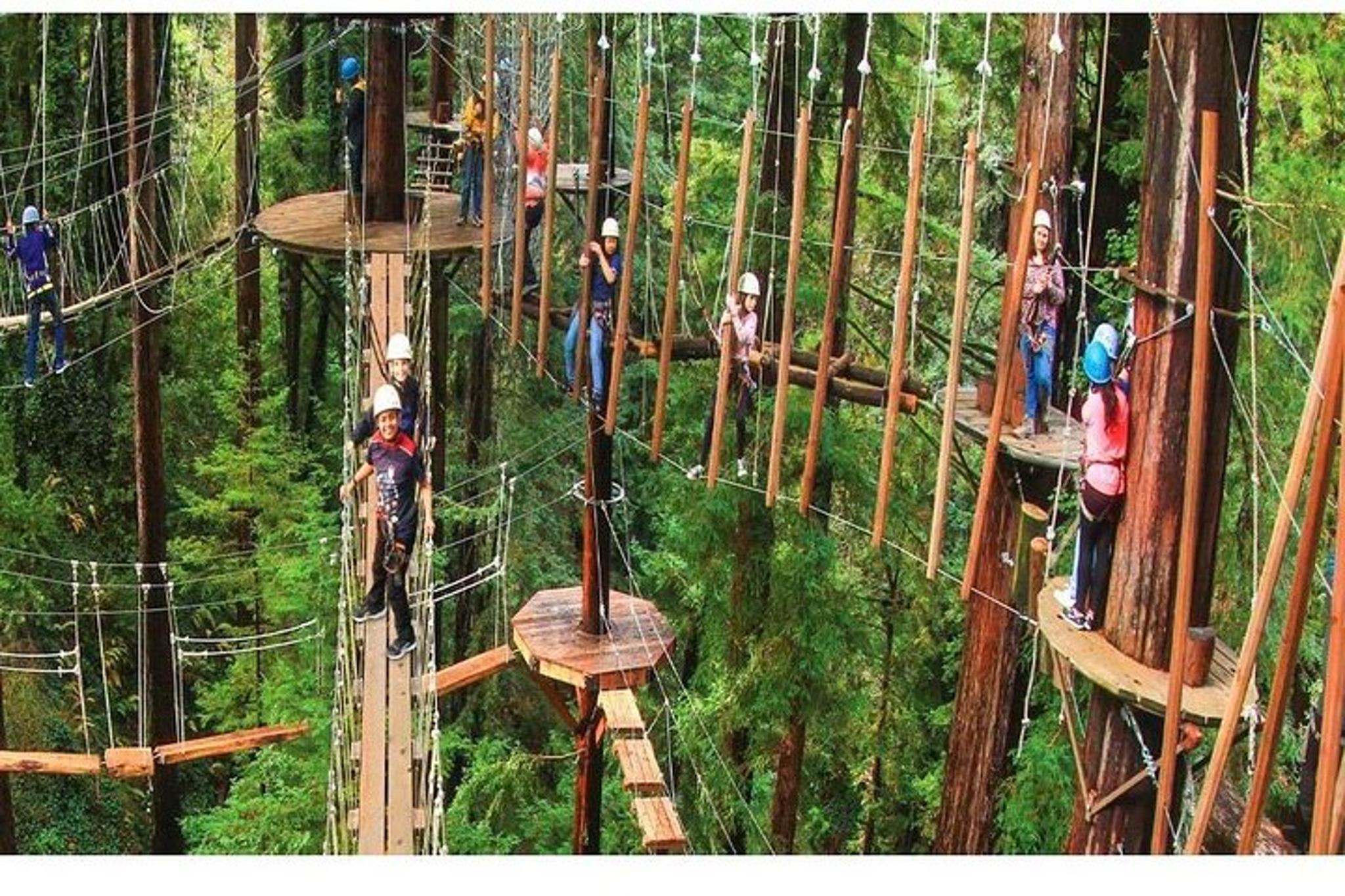 Russian River Valley & Giant Redwoods Private Tour - Image 2