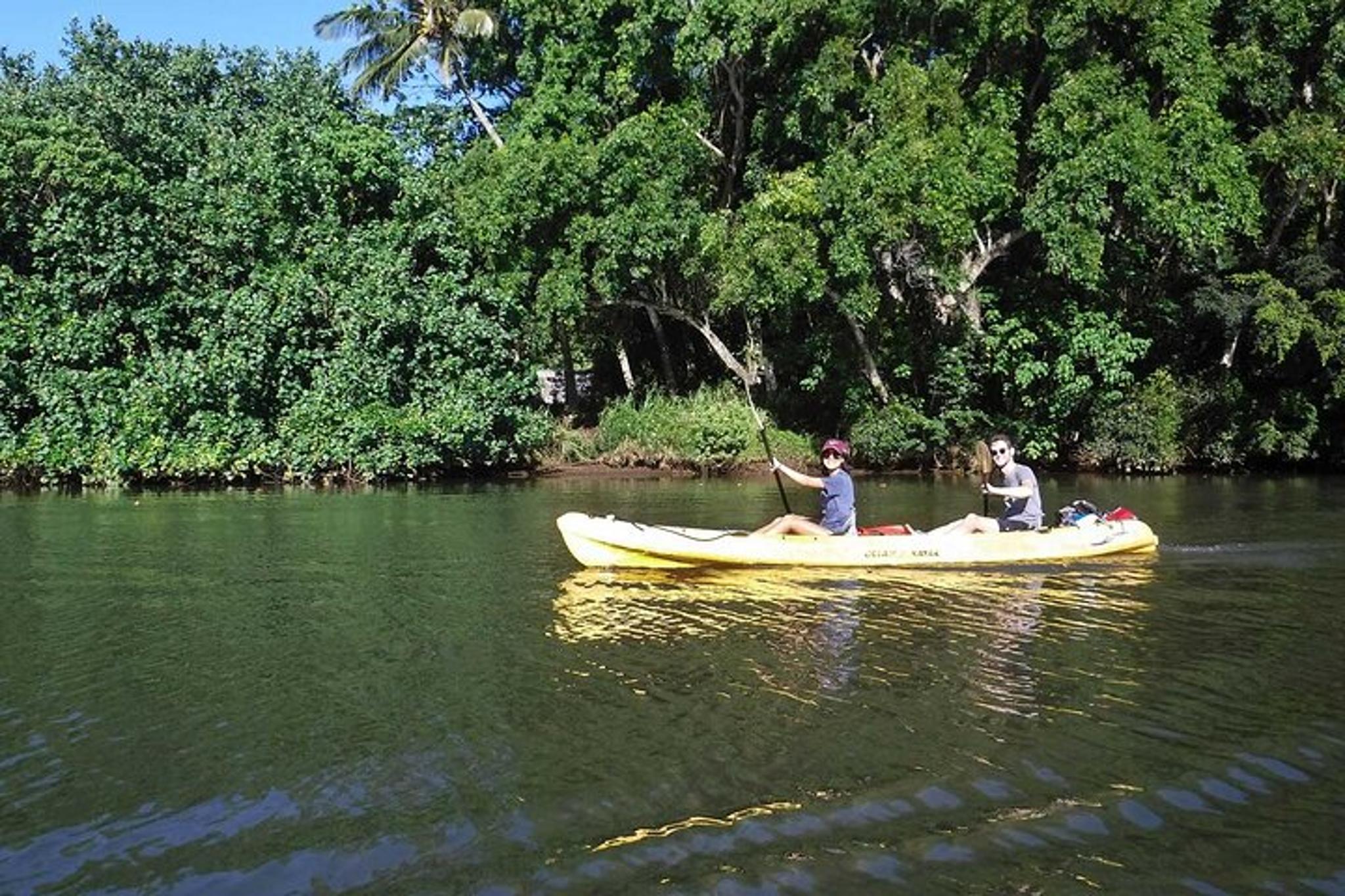 Wailua River Paddle Tour - Image 3