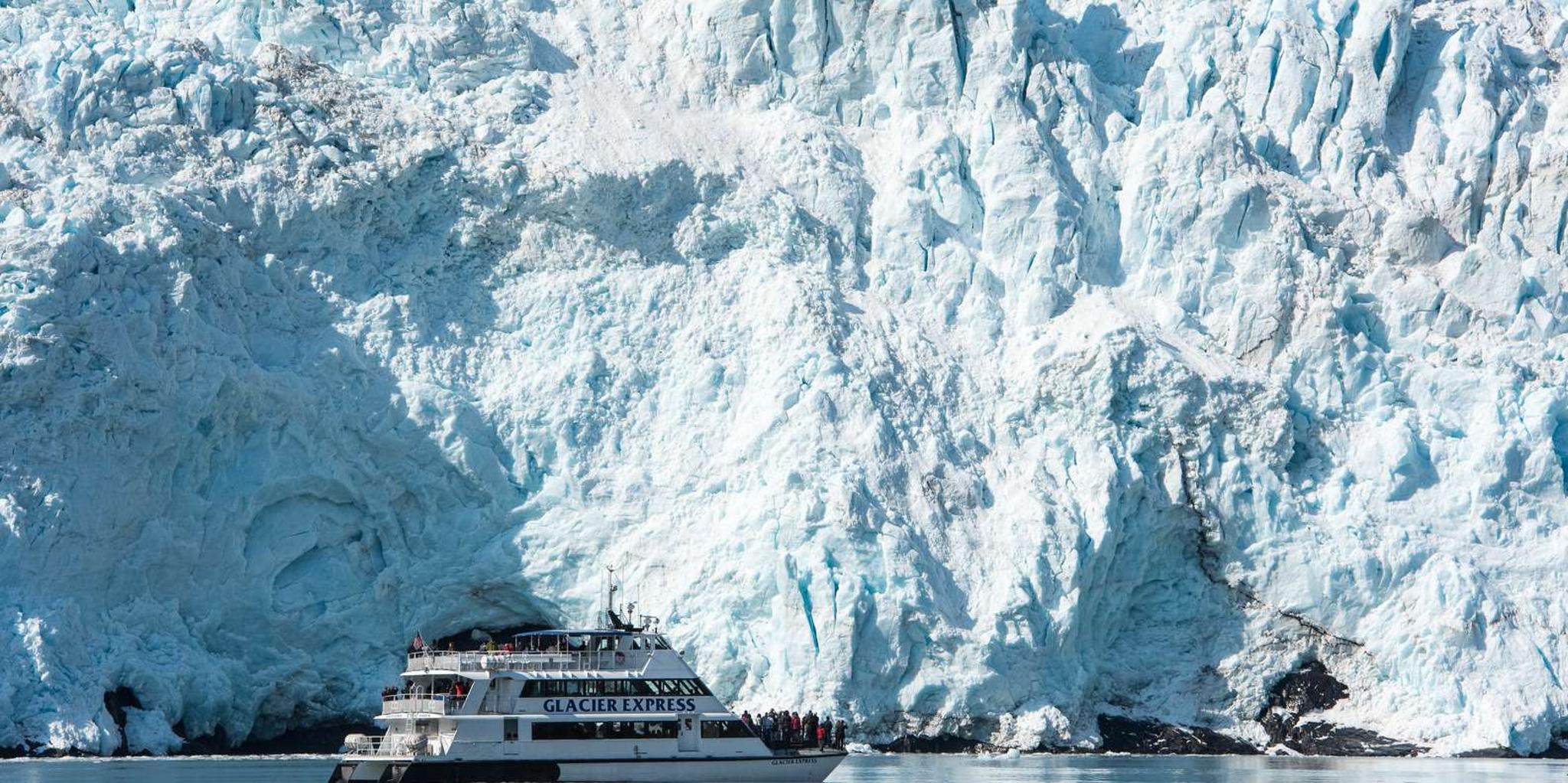 Seward Kenai Fjords National Park Glacier Cruise