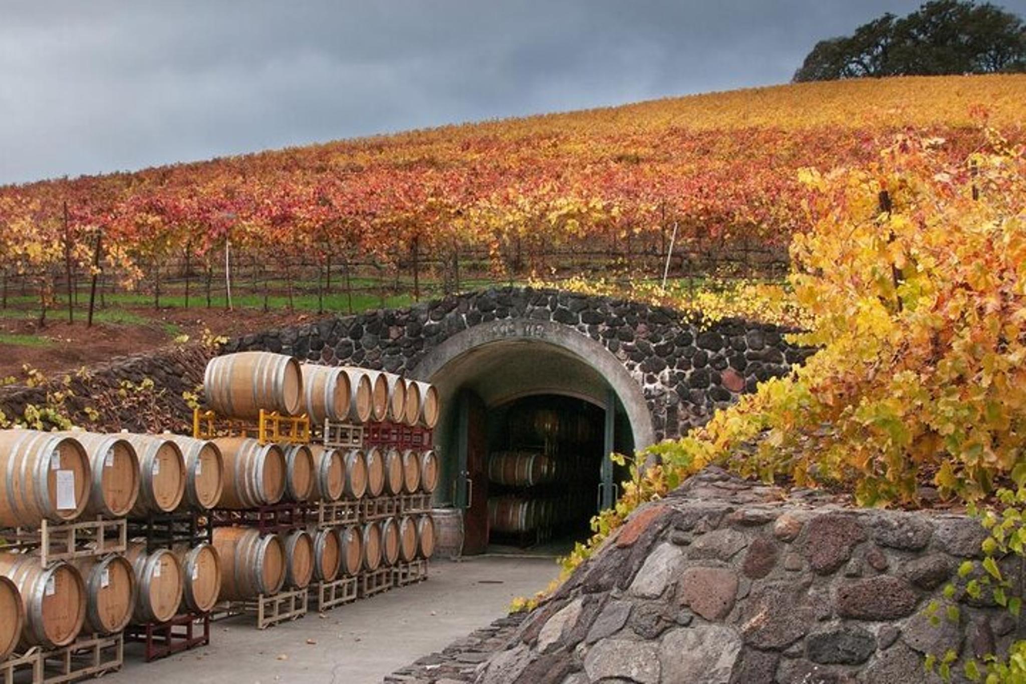 Sonoma Self-Guided Tasting Tour - Image 5