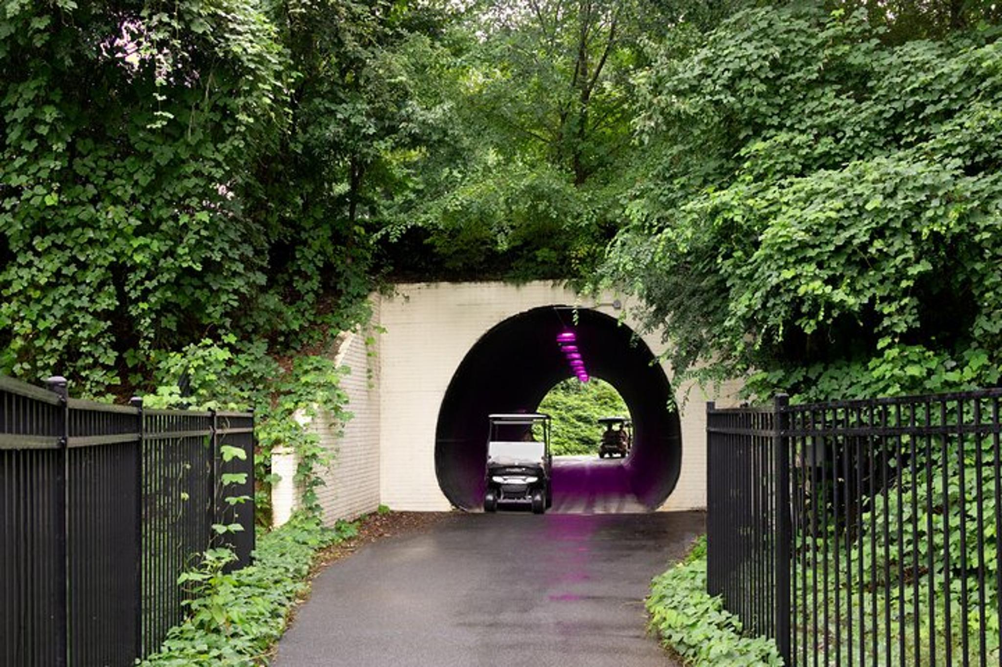 Peachtree City Golf Cart Tour - Image 1