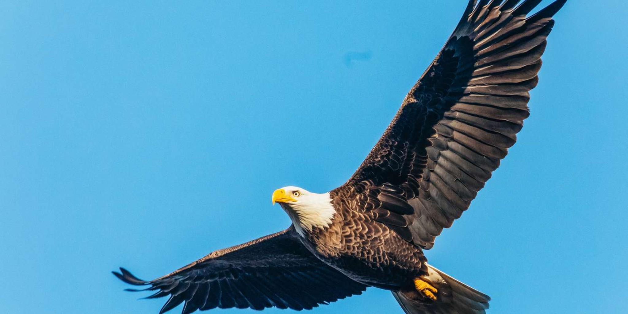 South Lake Tahoe Sightseeing Cruise - Image 5