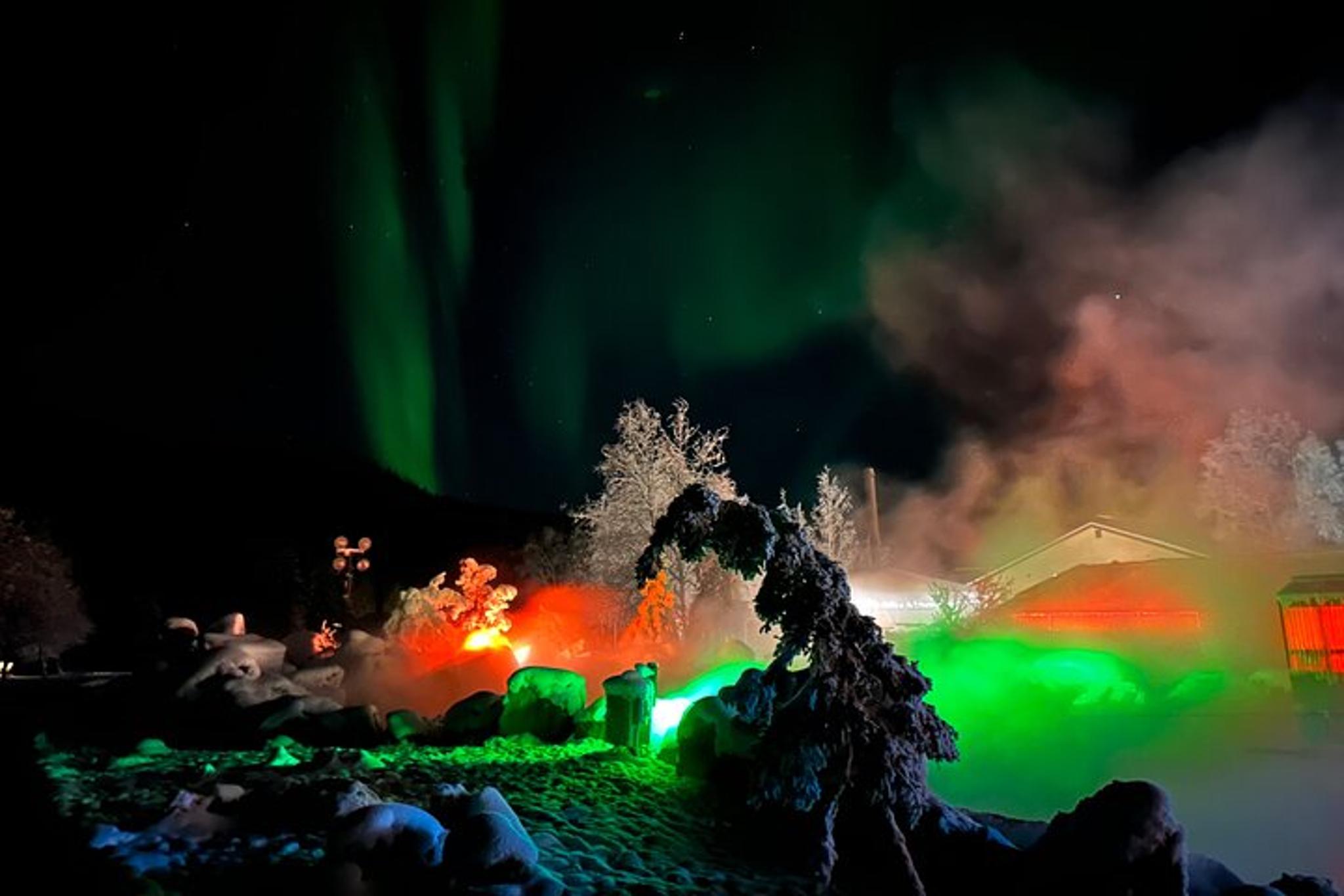 Chena Hot Springs Tour - Image 3