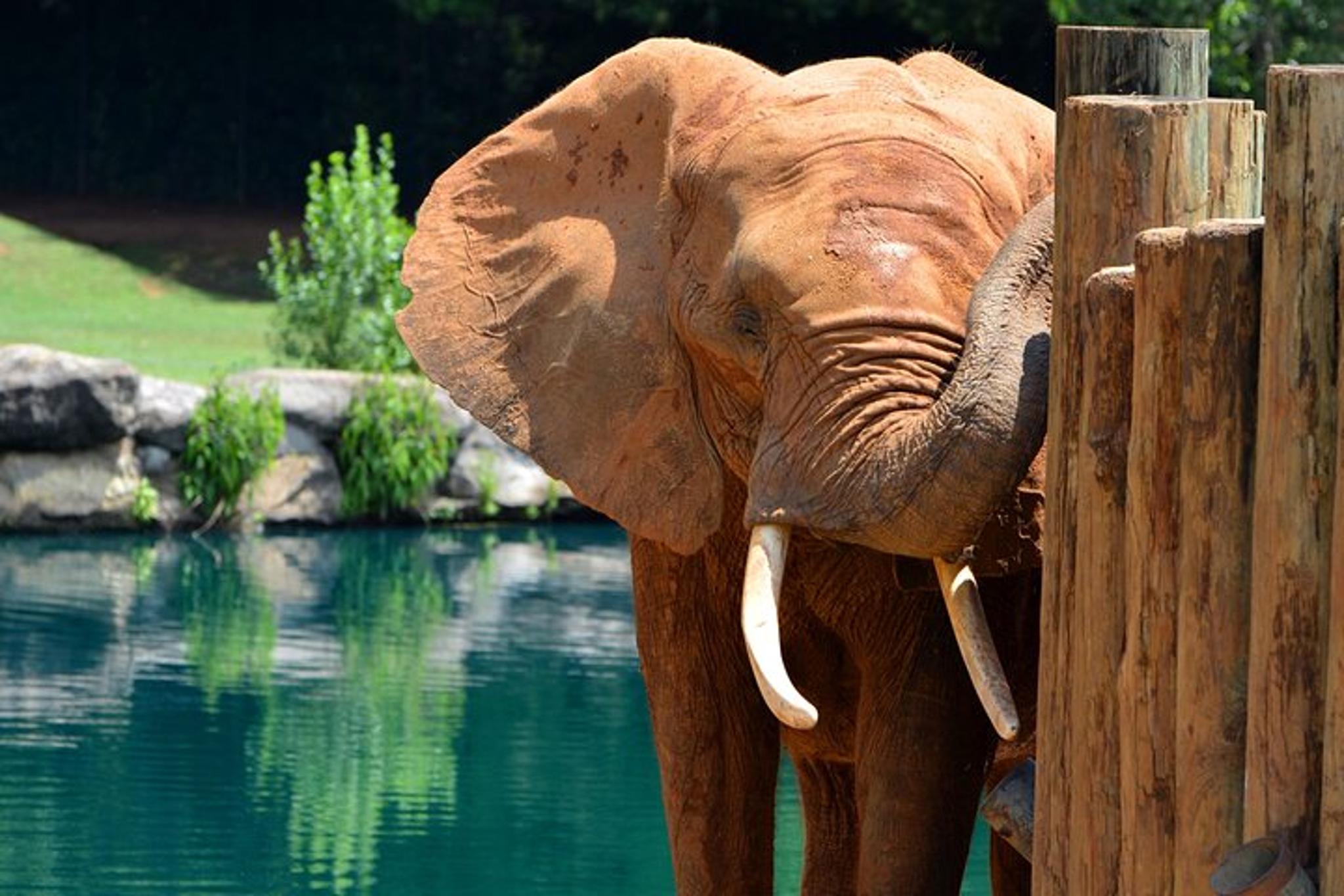 Montgomery Multi-Attraction Pass - Image 6