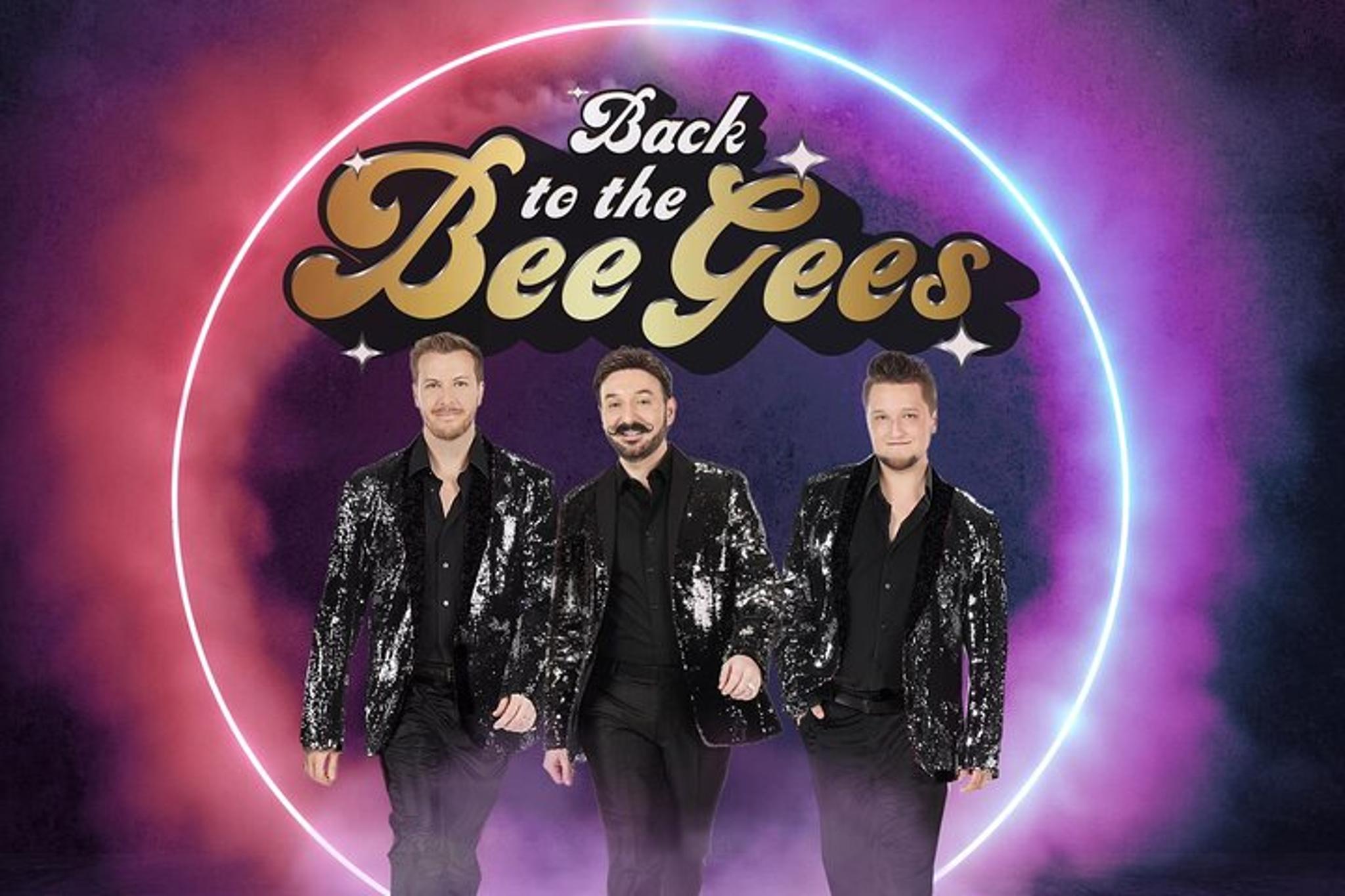 Branson Bee Gees Show Ticket 2 hr - Image 6