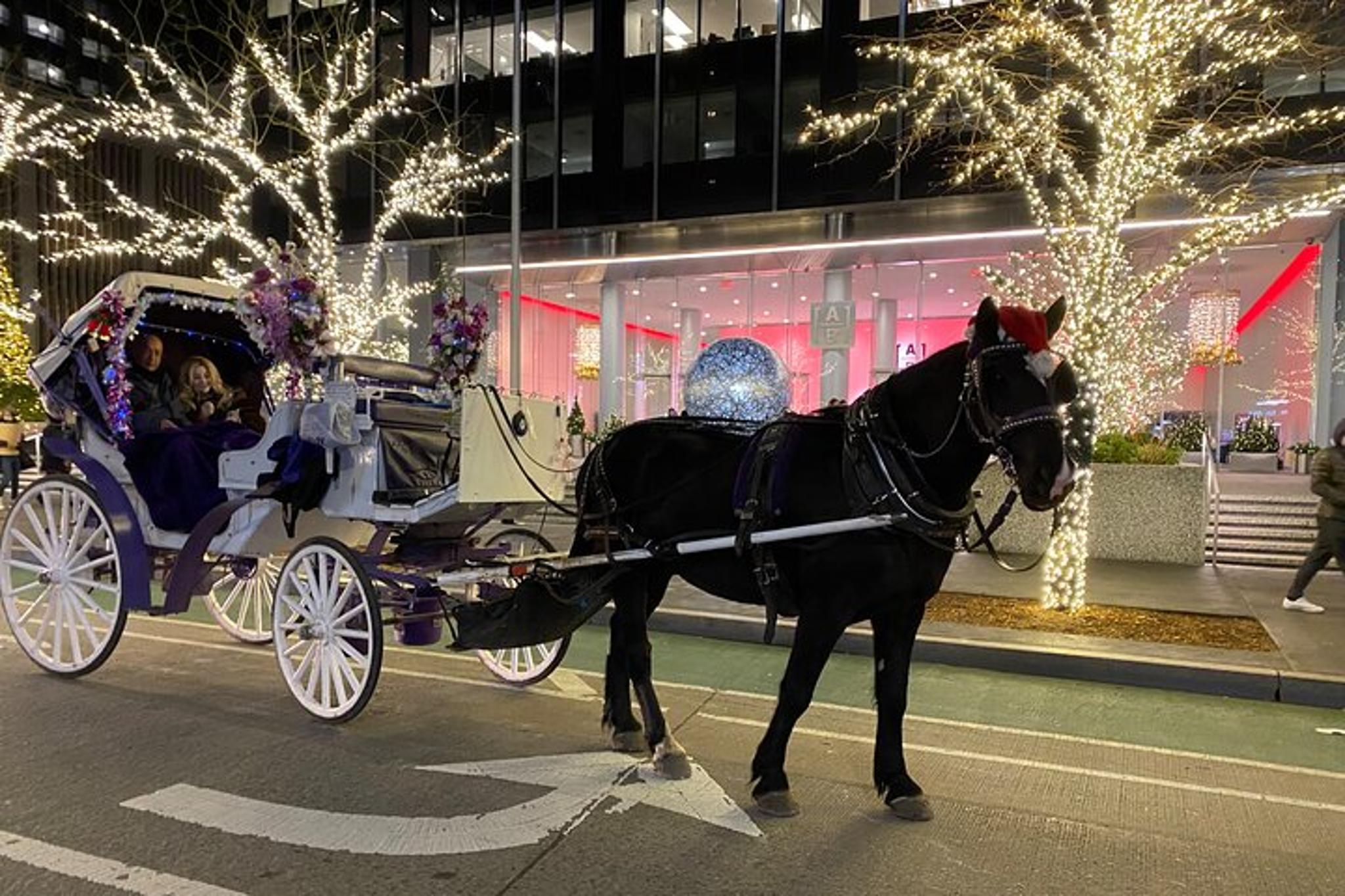 New York City Rockefeller Center Christmas Lights Carriage Ride