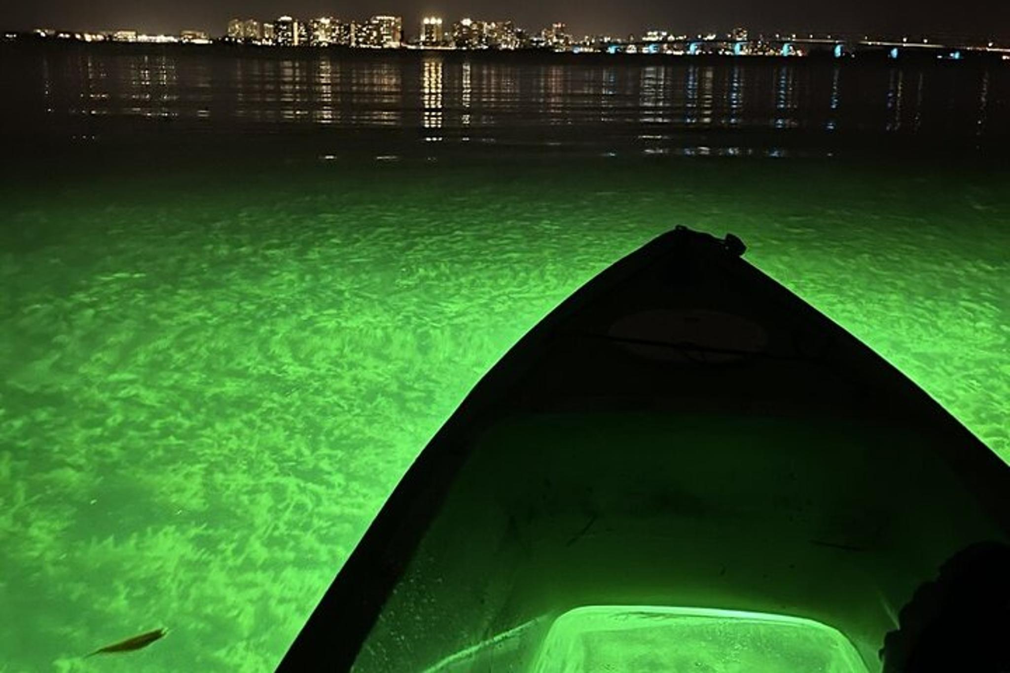 Sarasota Glass Bottom Kayak LED Night Tour