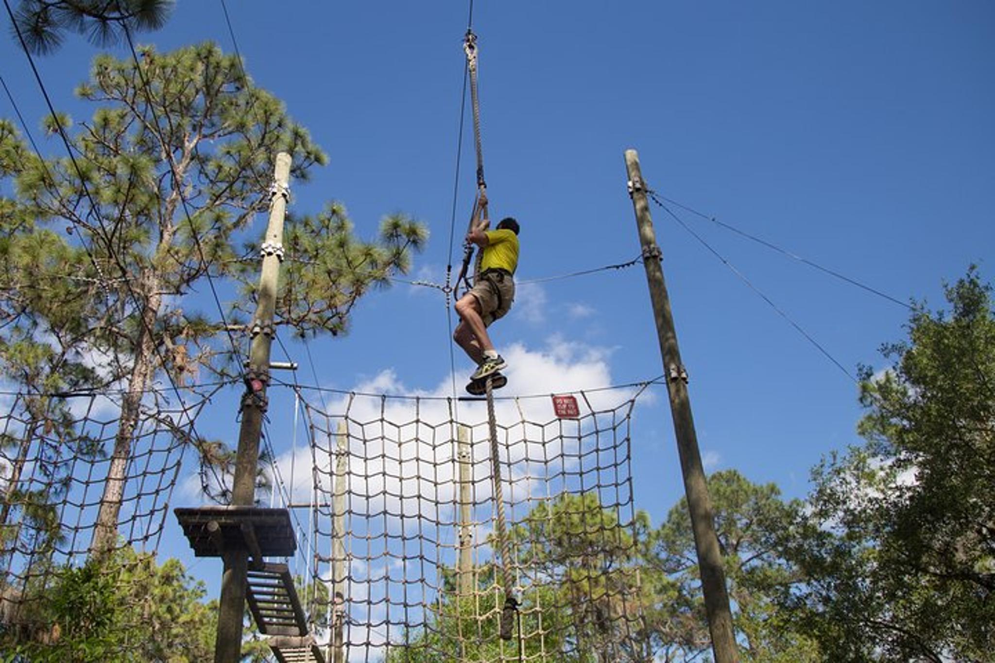 TreeUmph Adventure Course - Image 2