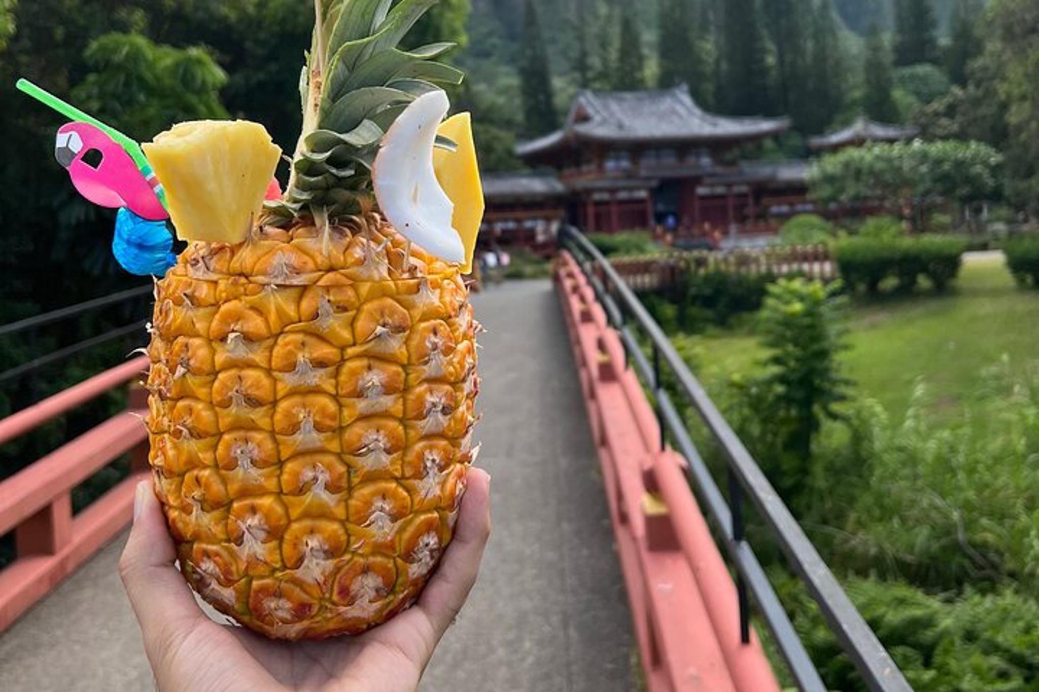 Oahu Circle Island Guided Tour - Image 1