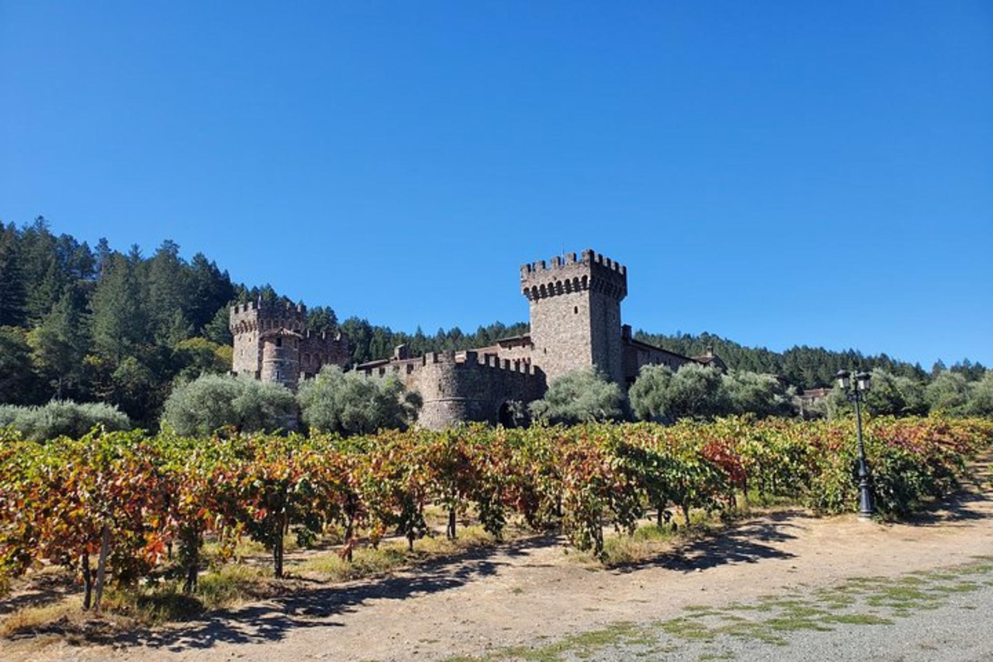 Napa Valley Wine Vineyard Tour - Image 6