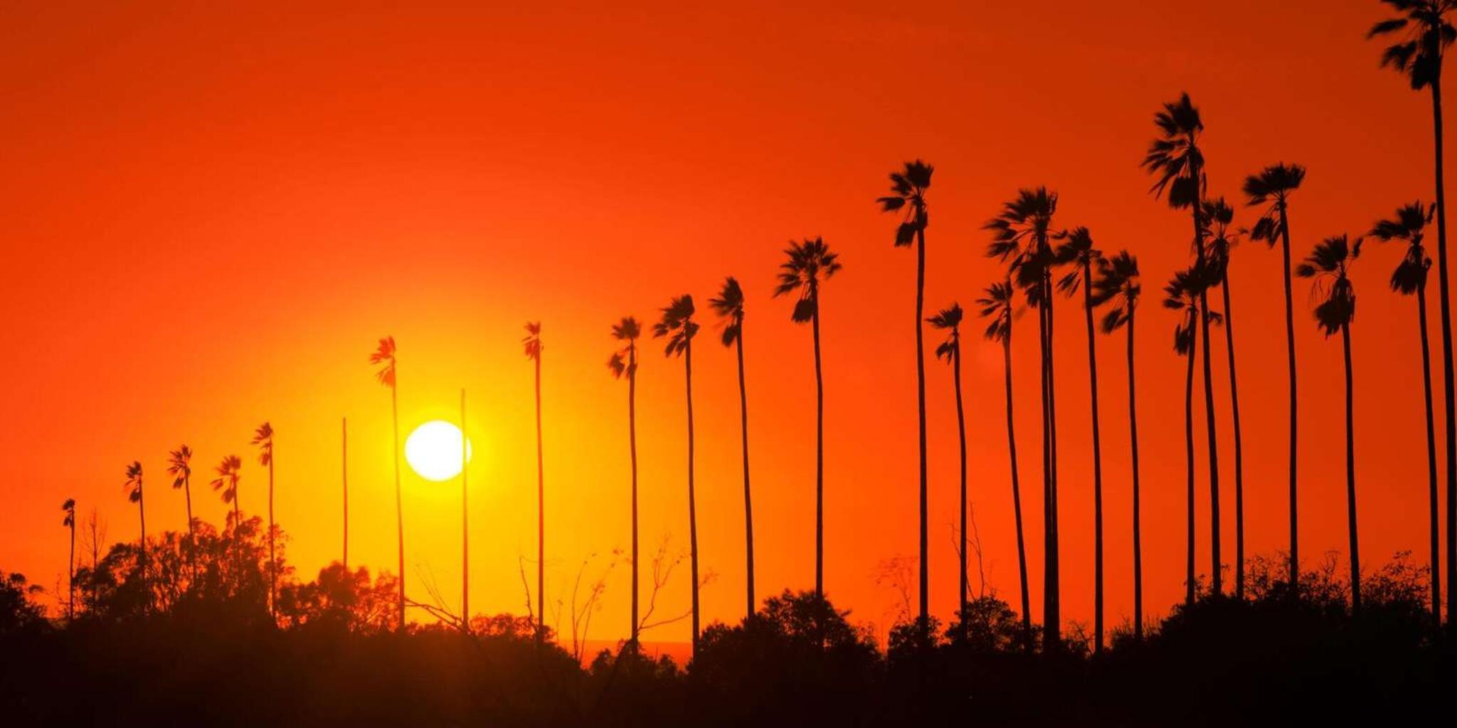 Los Angeles City & Beach Tour With Hotel Pick-Up 7 hr - Image 4