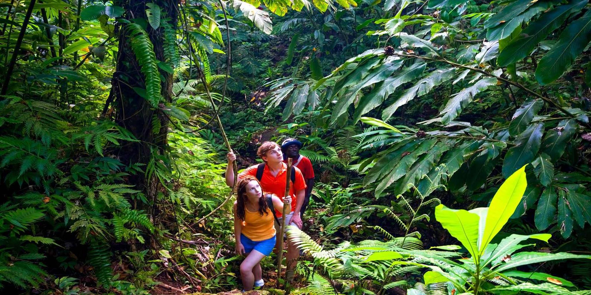 Maui Waterfall and Chocolate Tour - Image 3