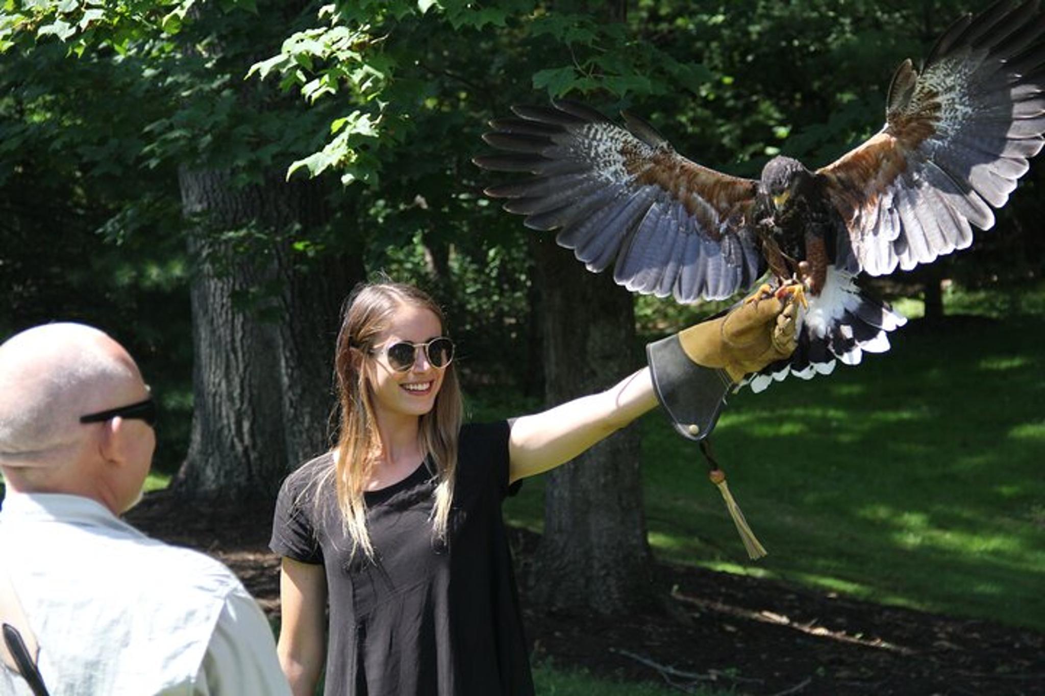 Colorado Springs Falconry Class and Demonstration - Image 4