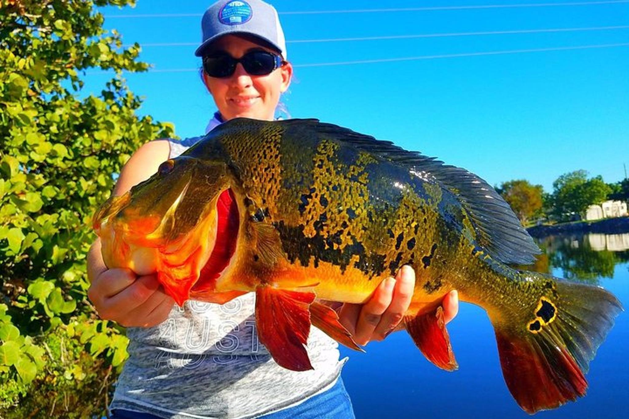 Boynton Beach Peacock Bass Fishing Trip - Image 3