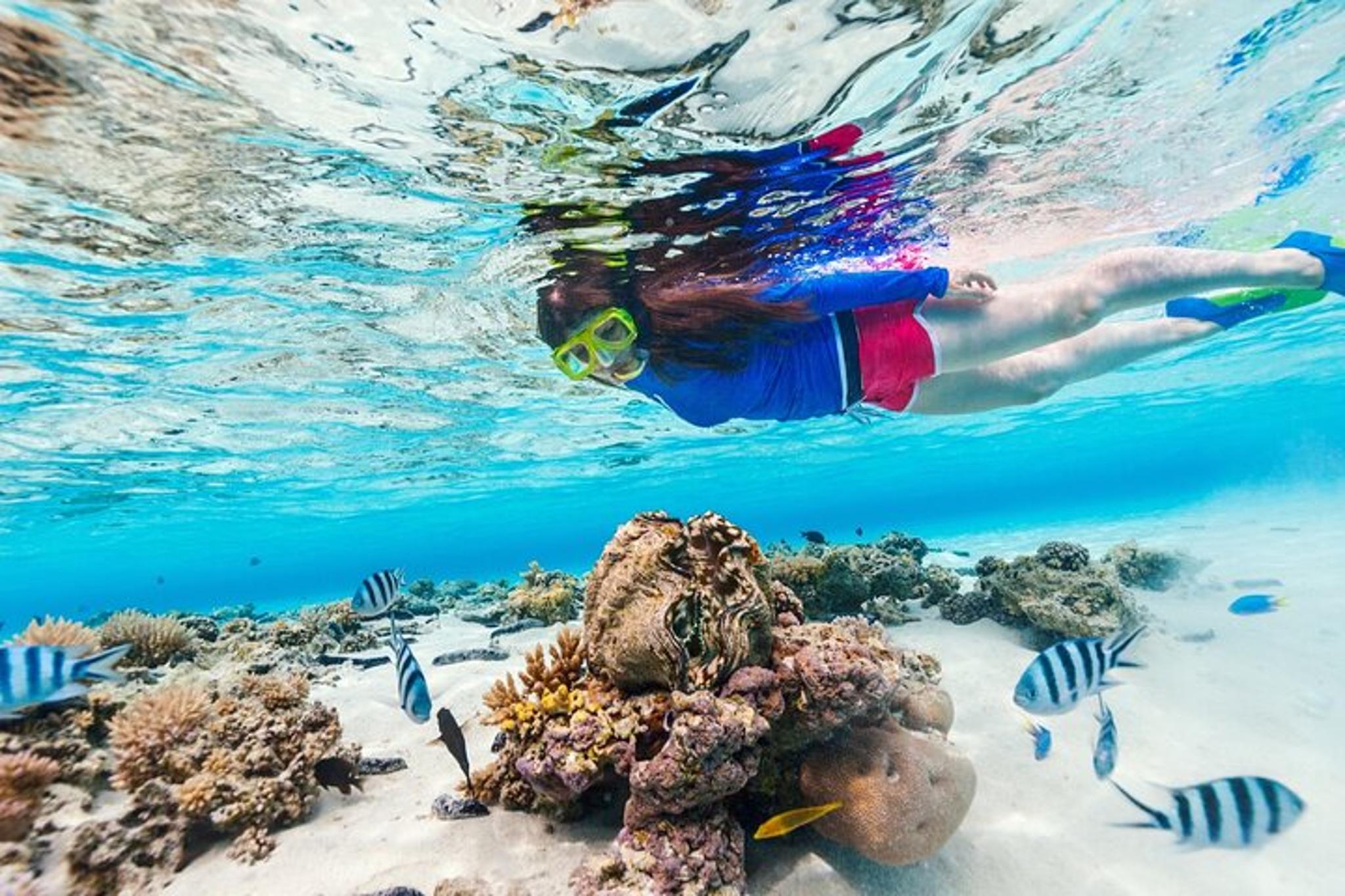 Oahu Snorkeling Tour at Hanauma Bay - Image 4