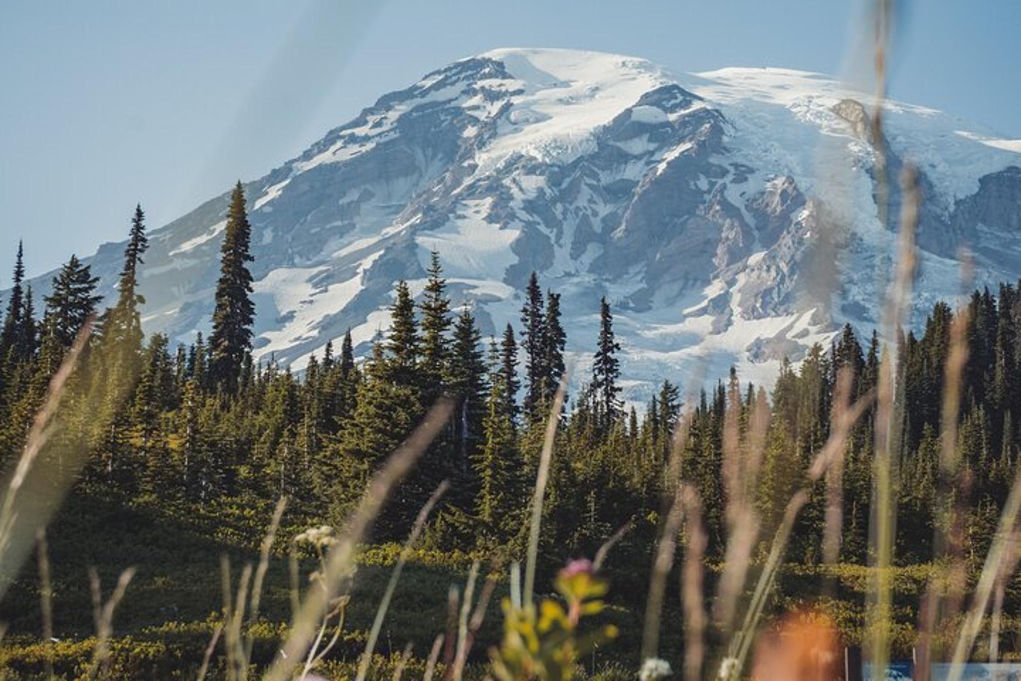Seattle Mount Rainier Private Day Tour - Image 4