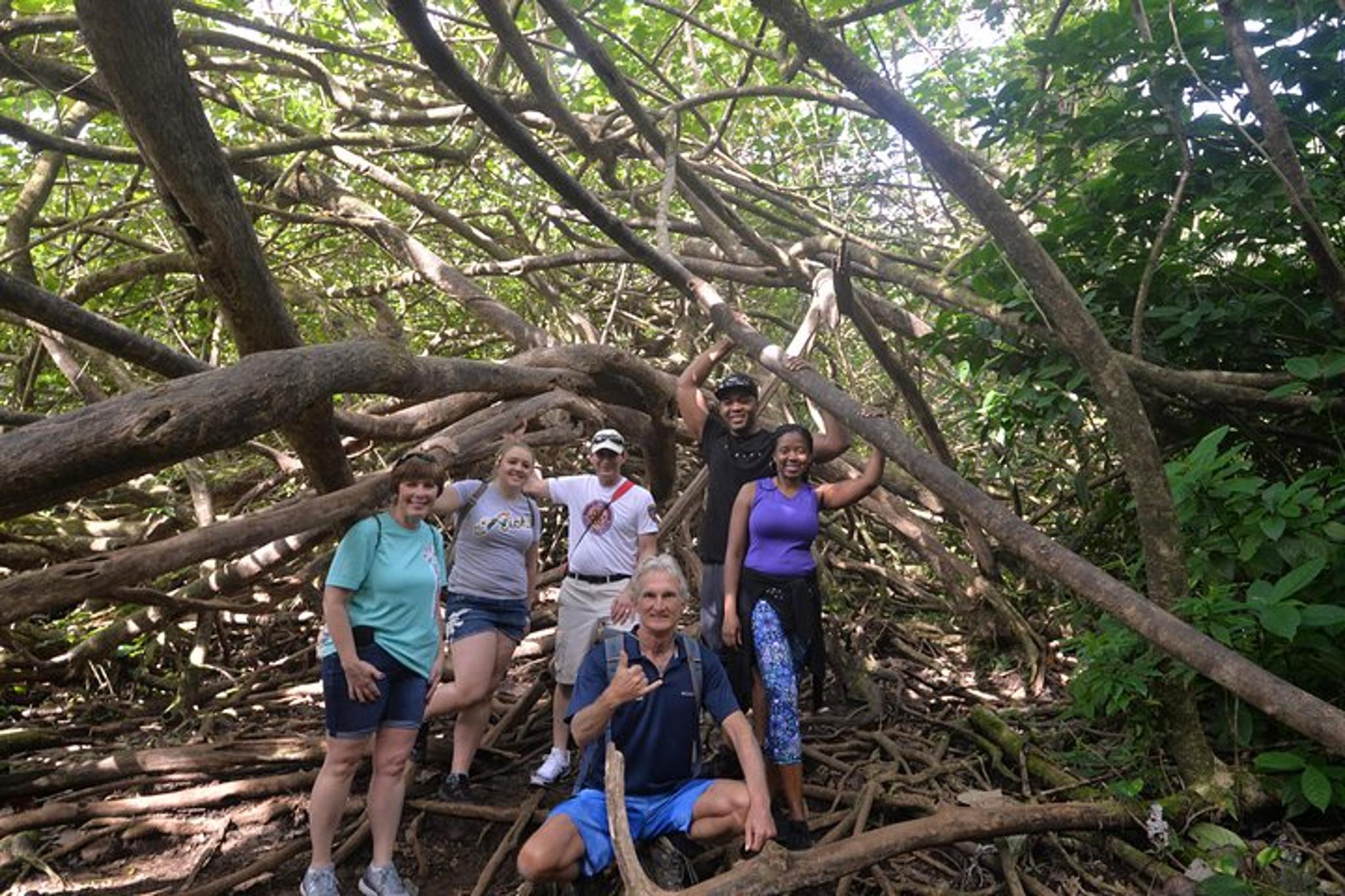 Honolulu Waterfall Hike in Ko‘olau Mountains - Image 5