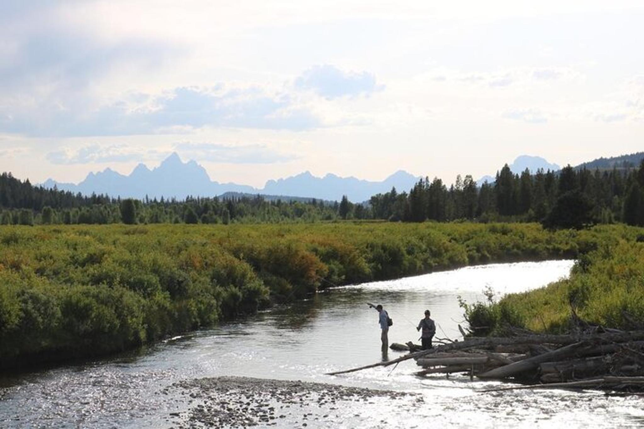 Wyoming Fly Fishing Half-Day - Image 4