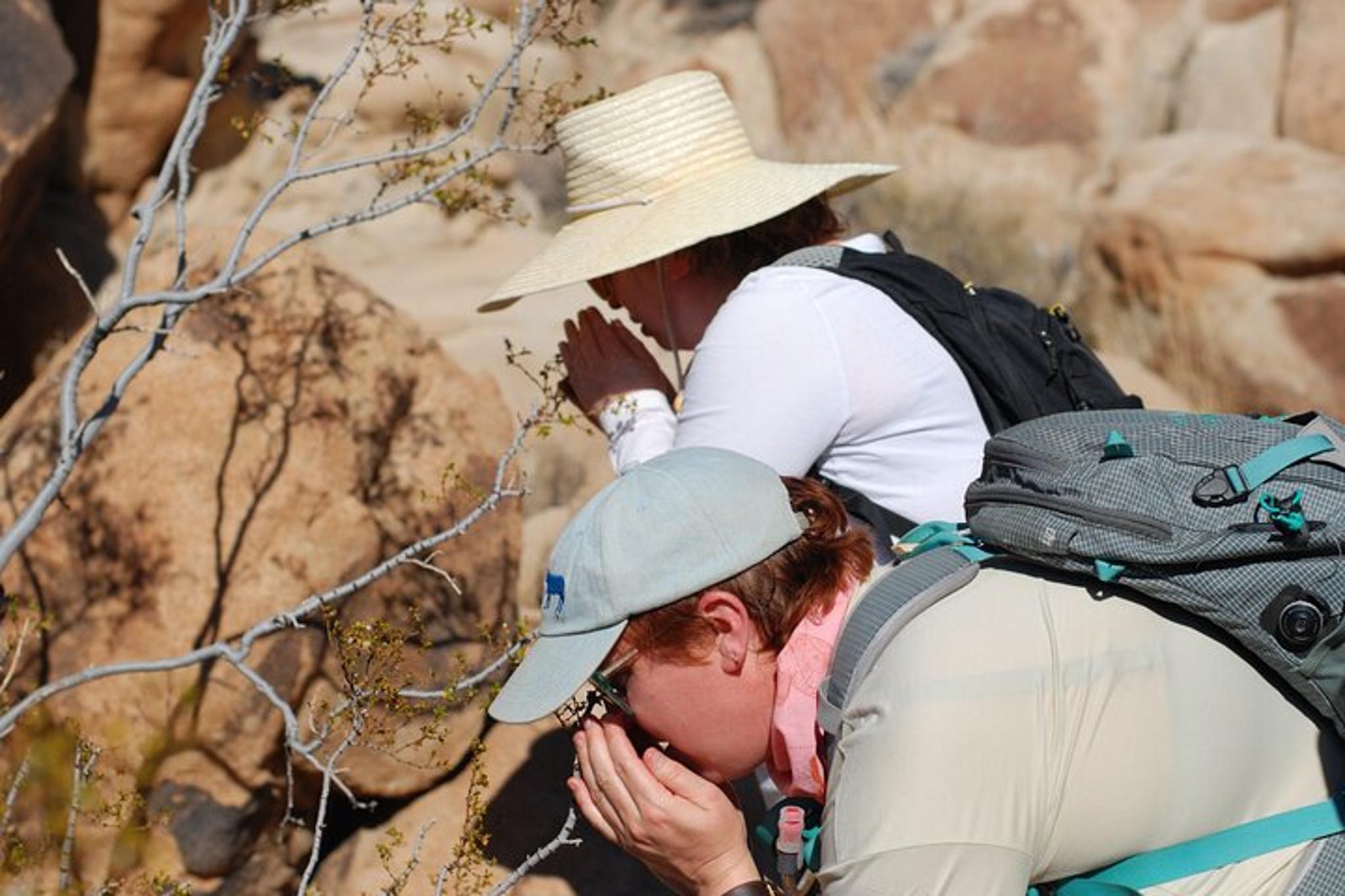 Joshua Tree Natural Wonders Walk - Image 5