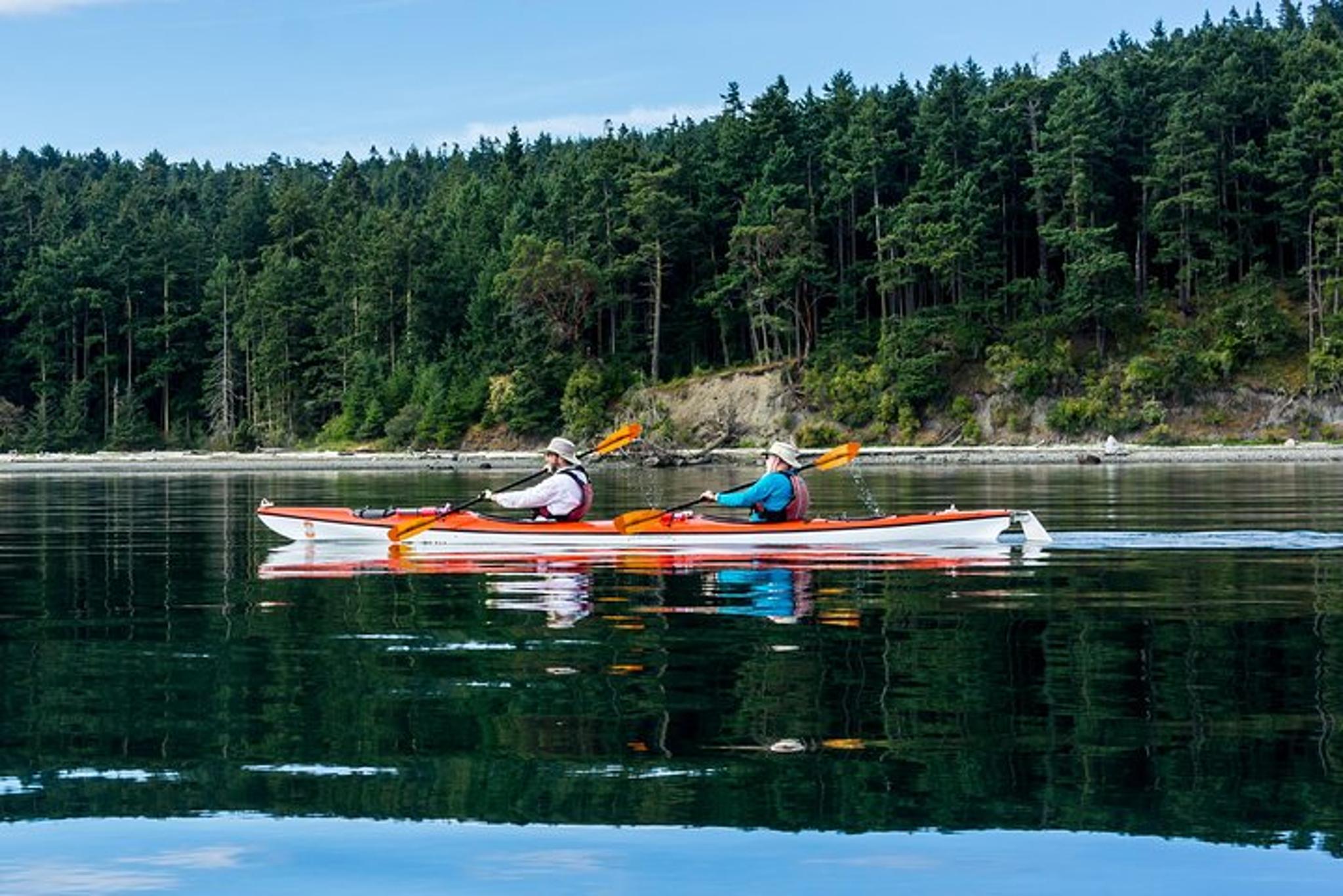 San Juan Island Kayak Tour - Image 6