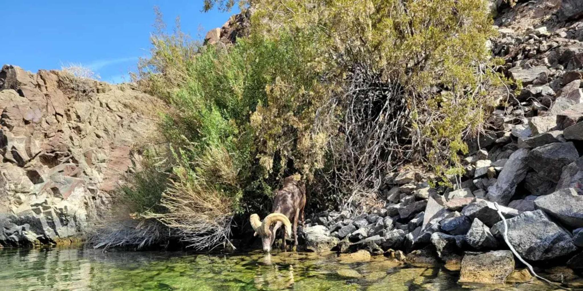 Las Vegas Emerald Cave Kayak Tour - Image 6