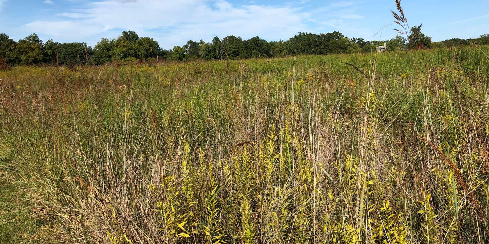 Gettysburg Women's Valor Walking Tour - Image 5