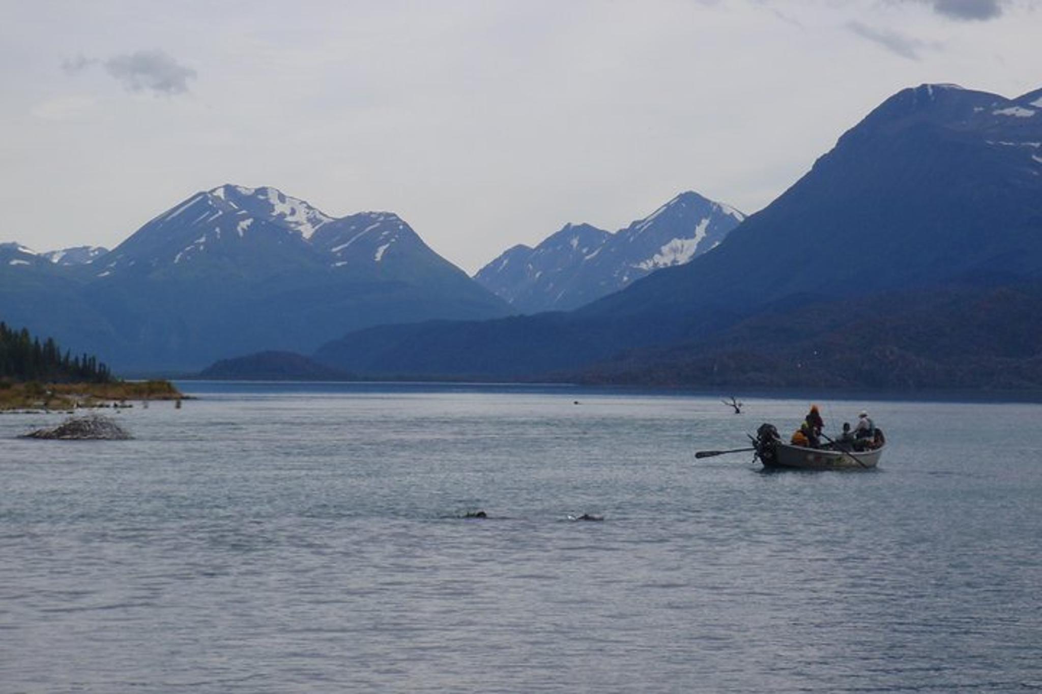 Cooper Landing Kenai River Guided Fishing Trip - Image 5