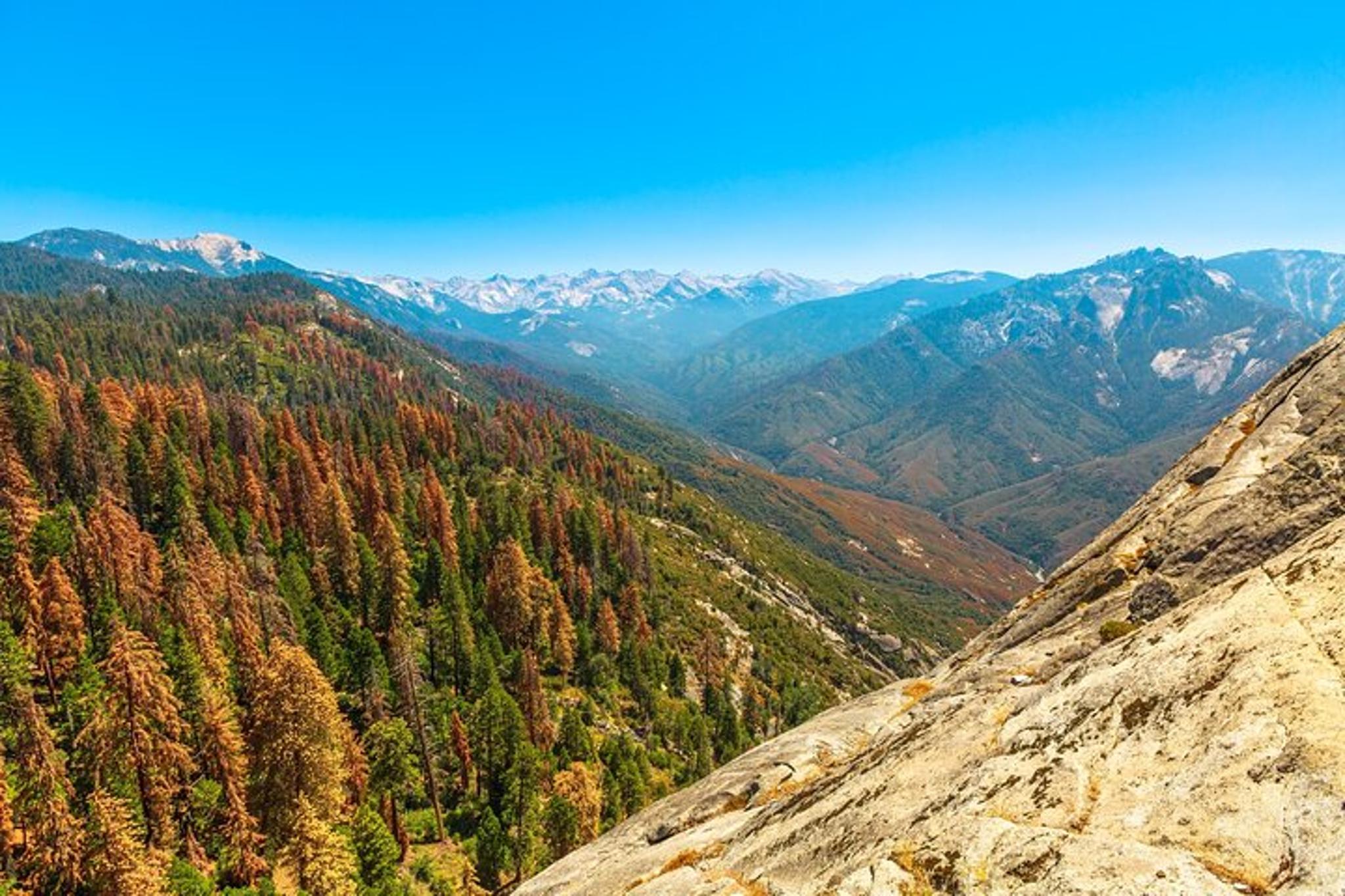 Kings Canyon National Park Self-Guided Audio Tour - Image 6