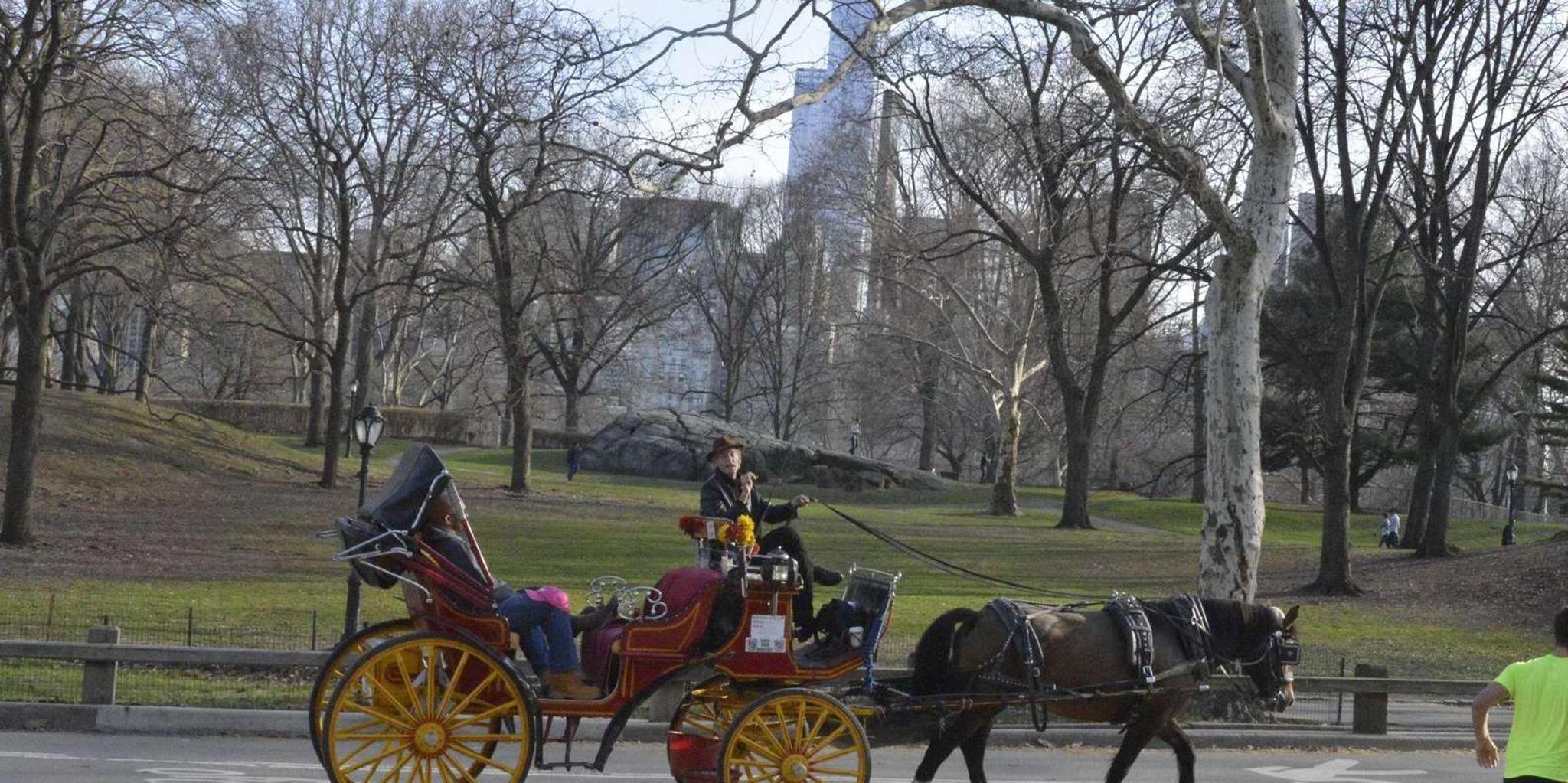 New York Central Park Horse-Drawn Carriage Ride - Image 4