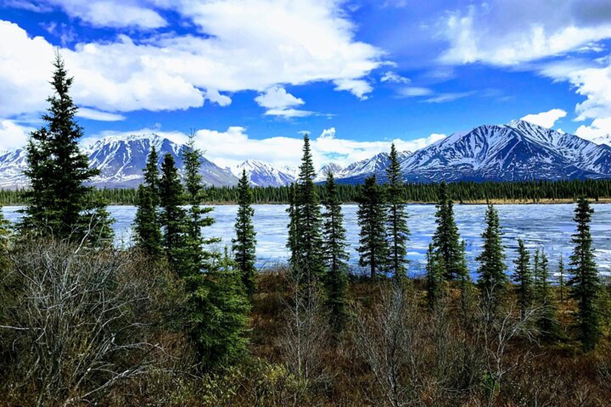 Anchorage Alaskan Highlights Tour Denali to Kenai Fjords - Image 5