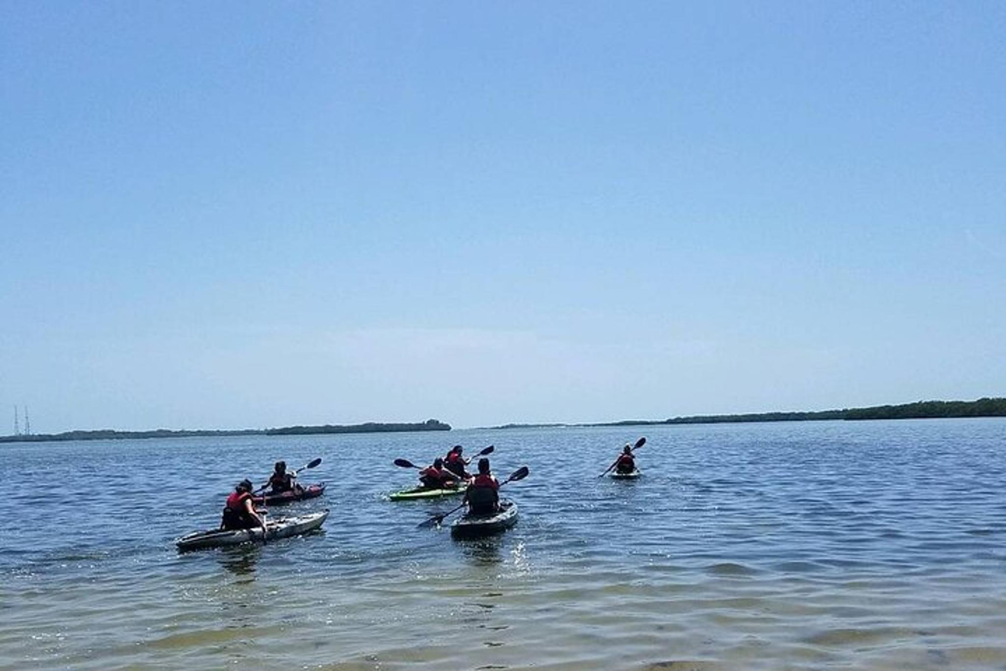 Tampa Bay Kayak Tour of Shell Key Preserve - Image 3