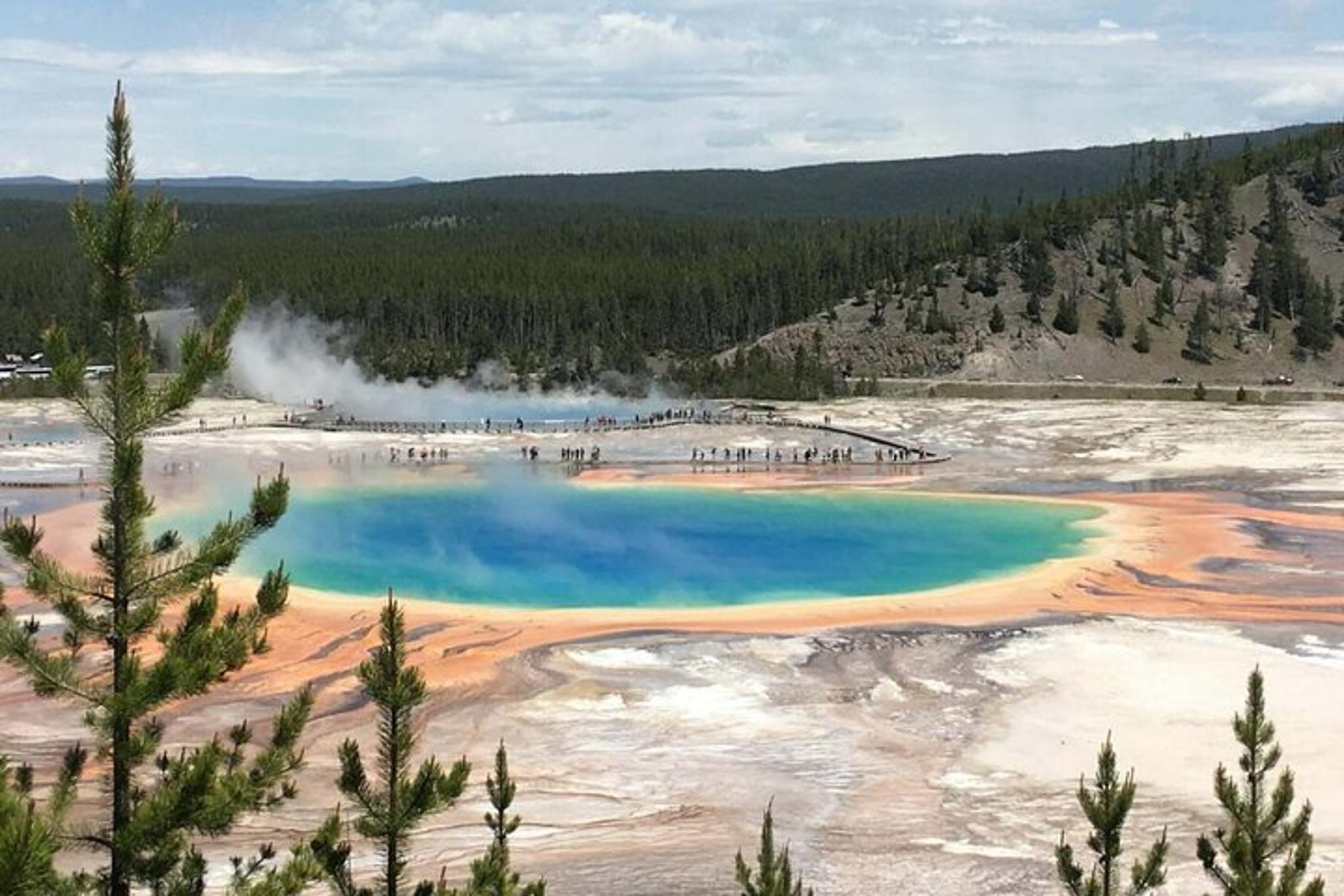 Jackson Yellowstone National Park Guided Tour Full Day - Image 3