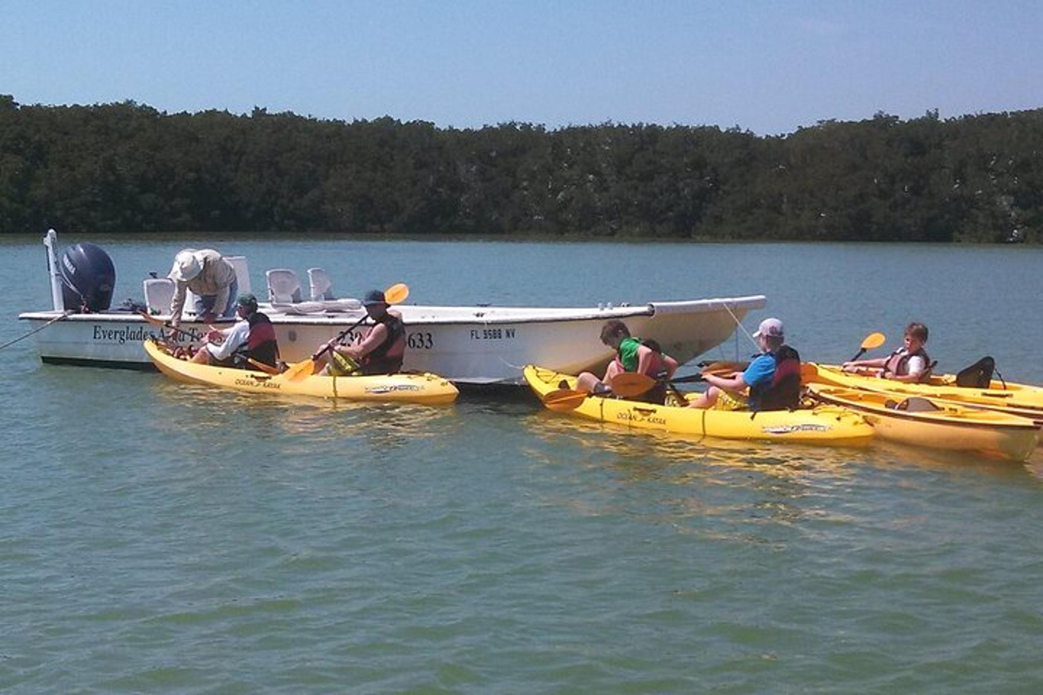 Everglades Boating, Kayaking, and Walking Eco Tour - Image 2